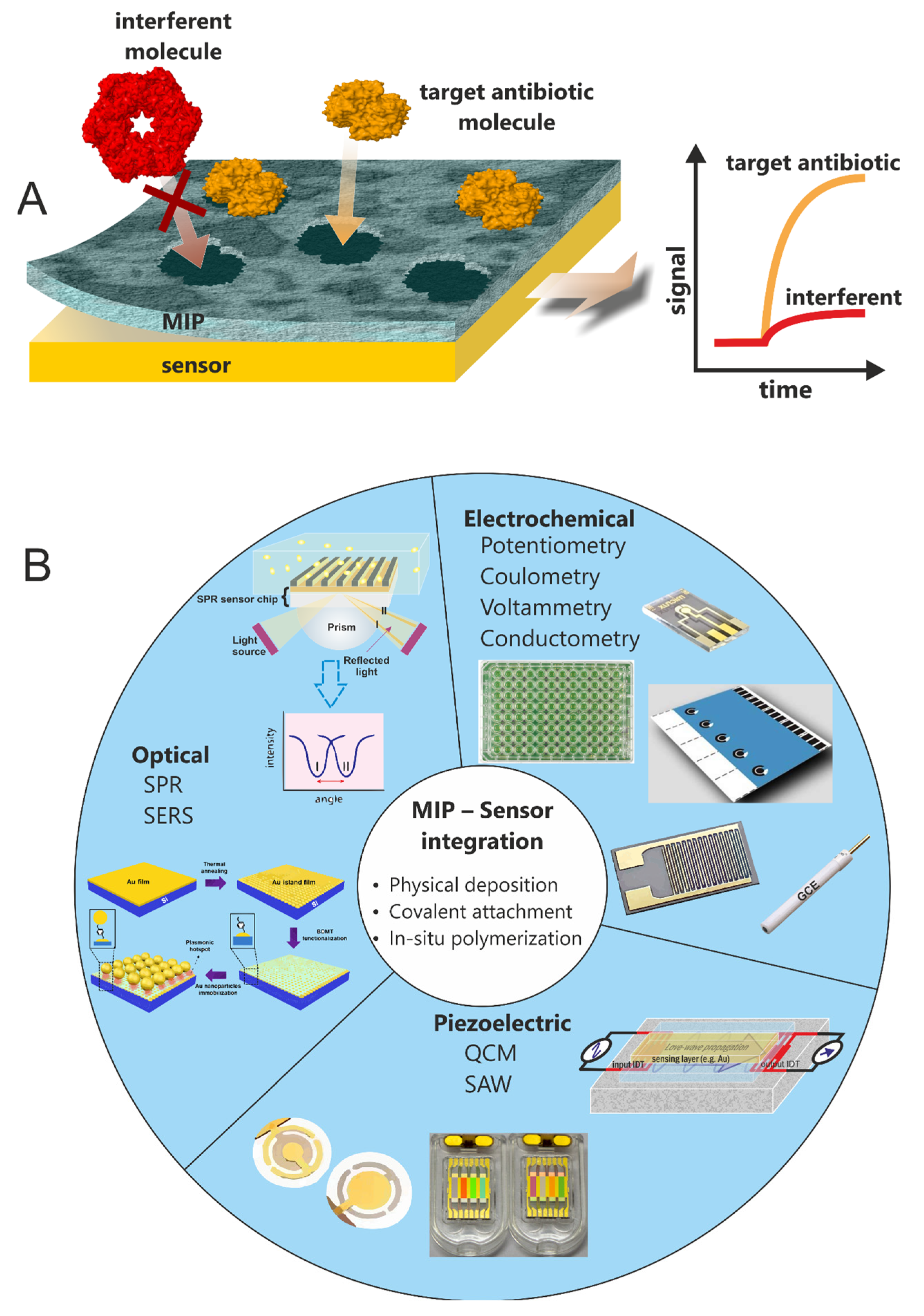 Biosensors 12 00441 g003