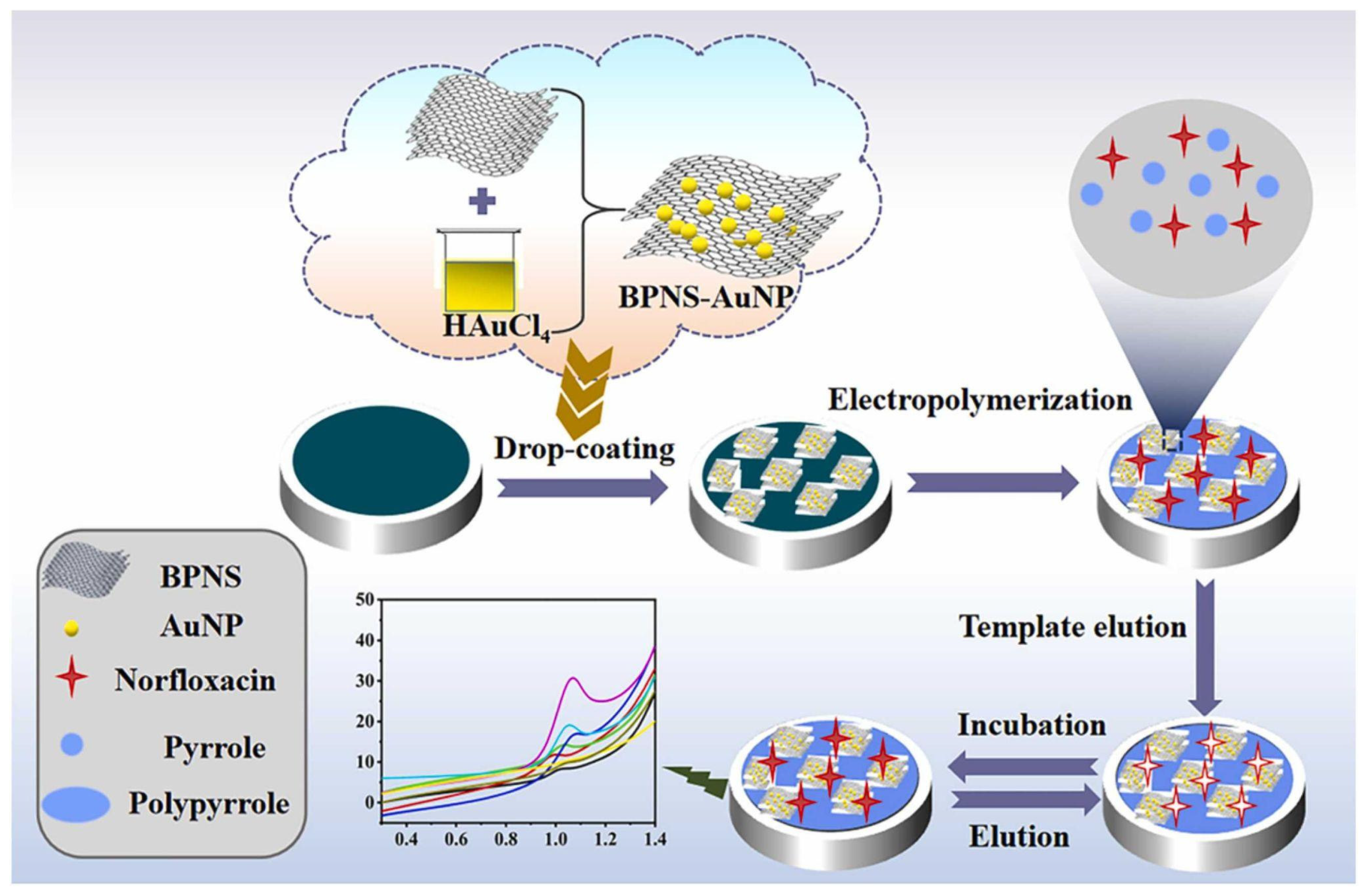 Biosensors 12 00441 g004
