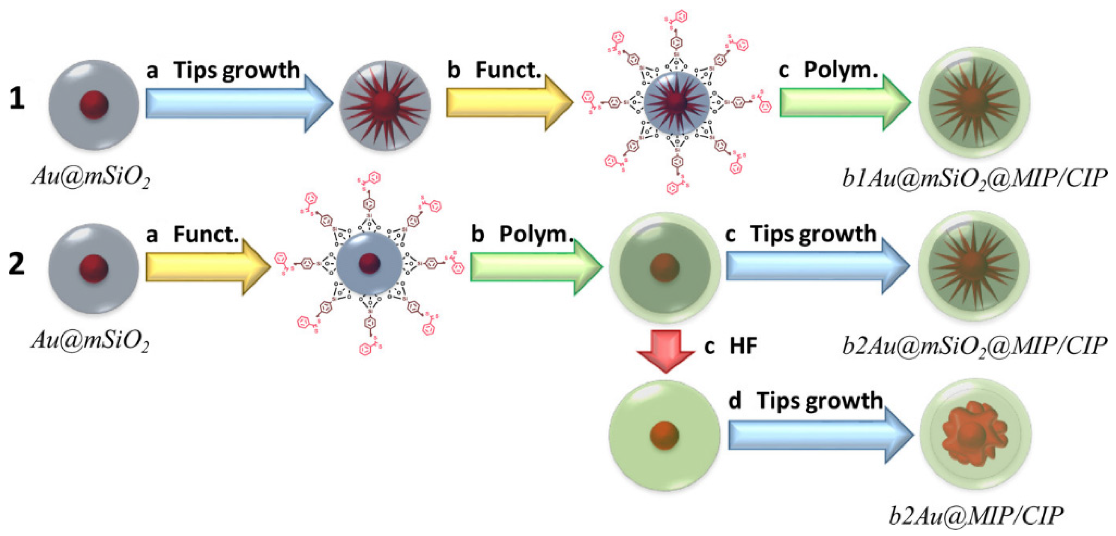 Biosensors 12 00441 g006