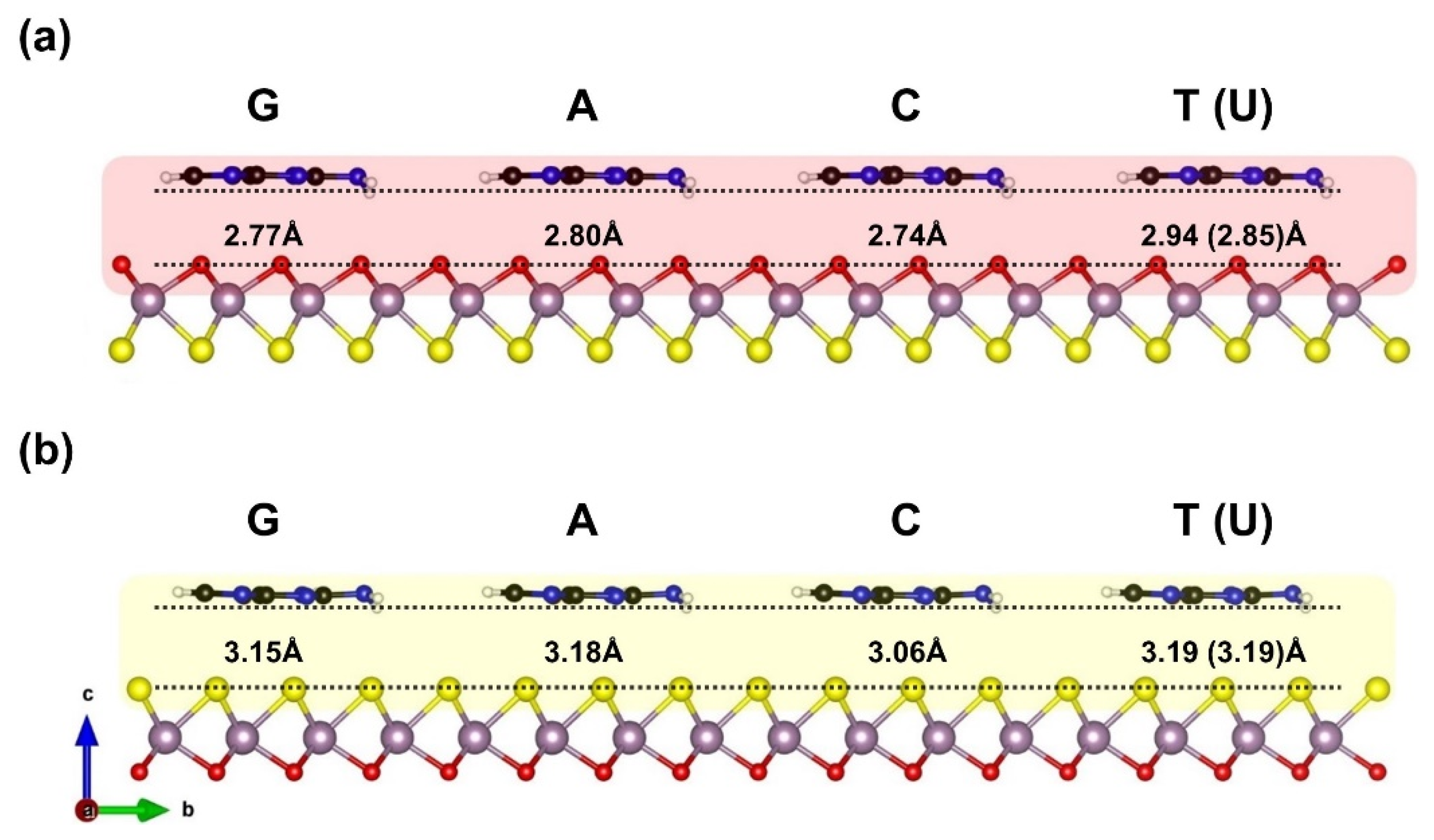 Biosensors 12 00442 g001