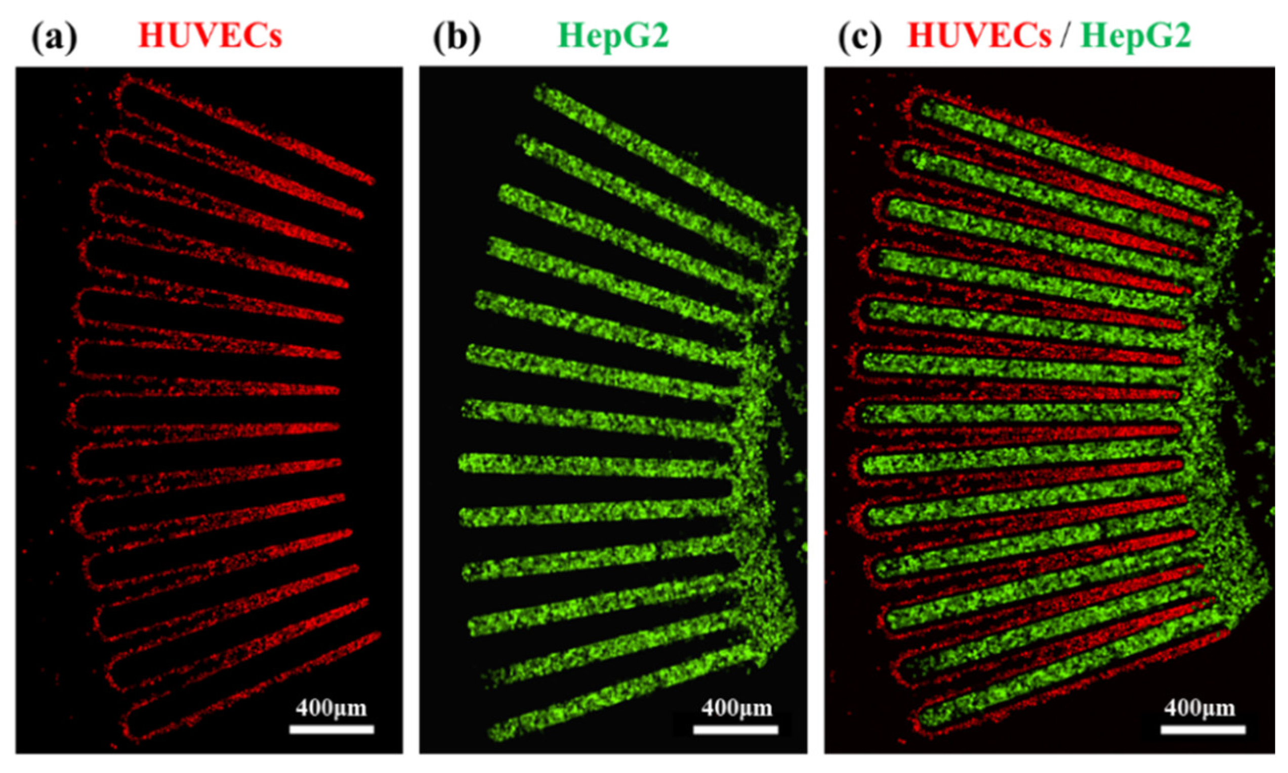 Biosensors 12 00445 g003 550