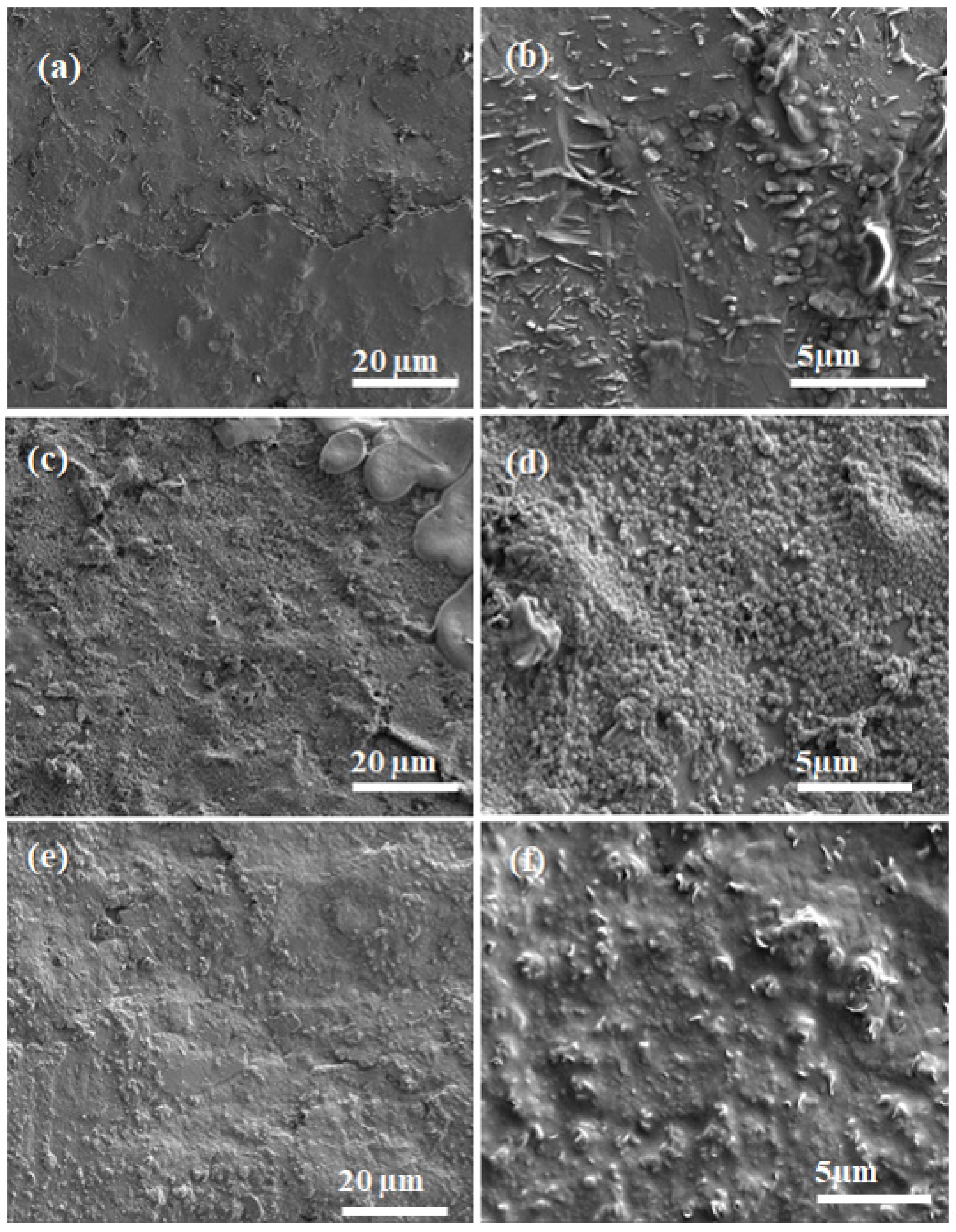 Biosensors 12 00446 g005