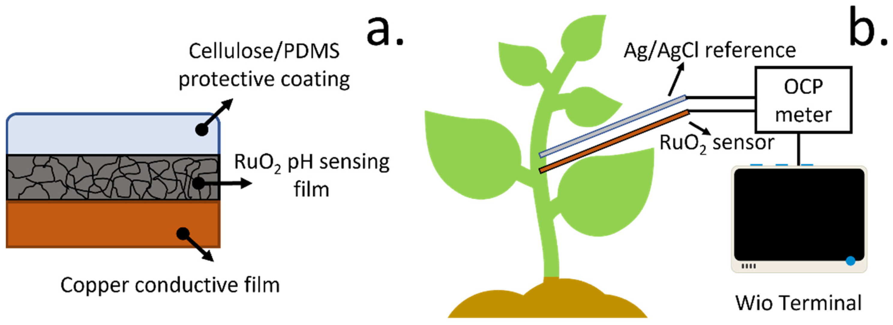 Biosensors 12 00447 g001 550