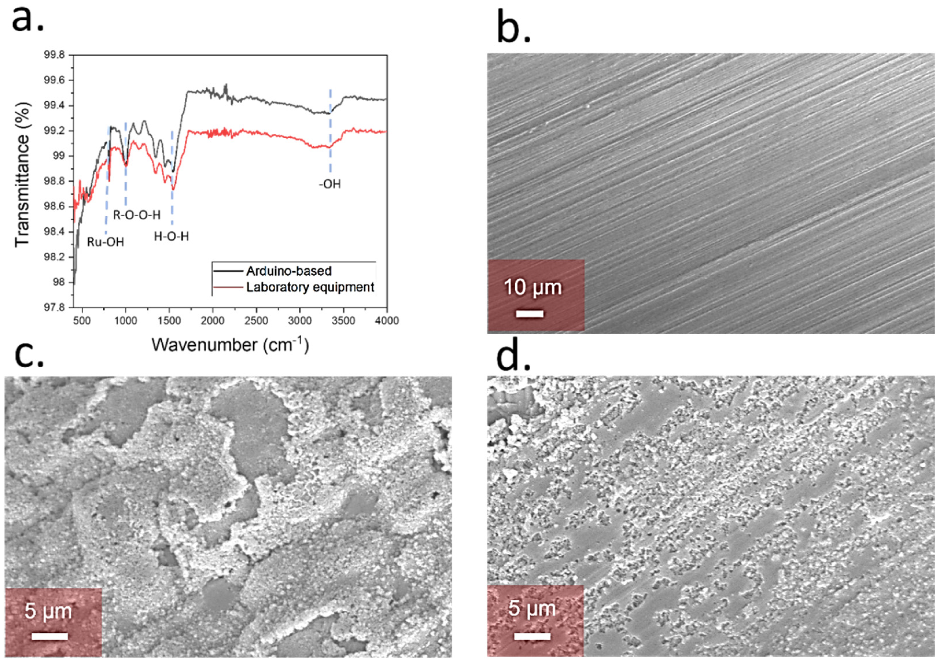 Biosensors 12 00447 g002 550