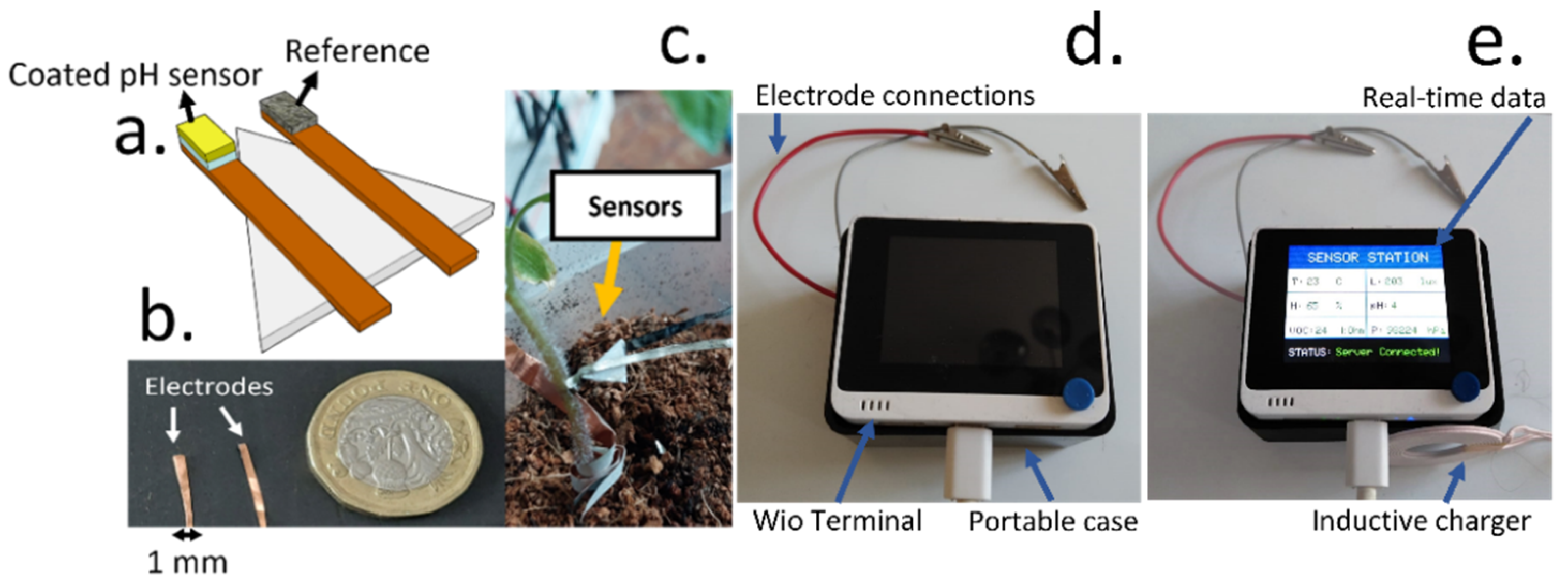 Biosensors 12 00447 g006 550