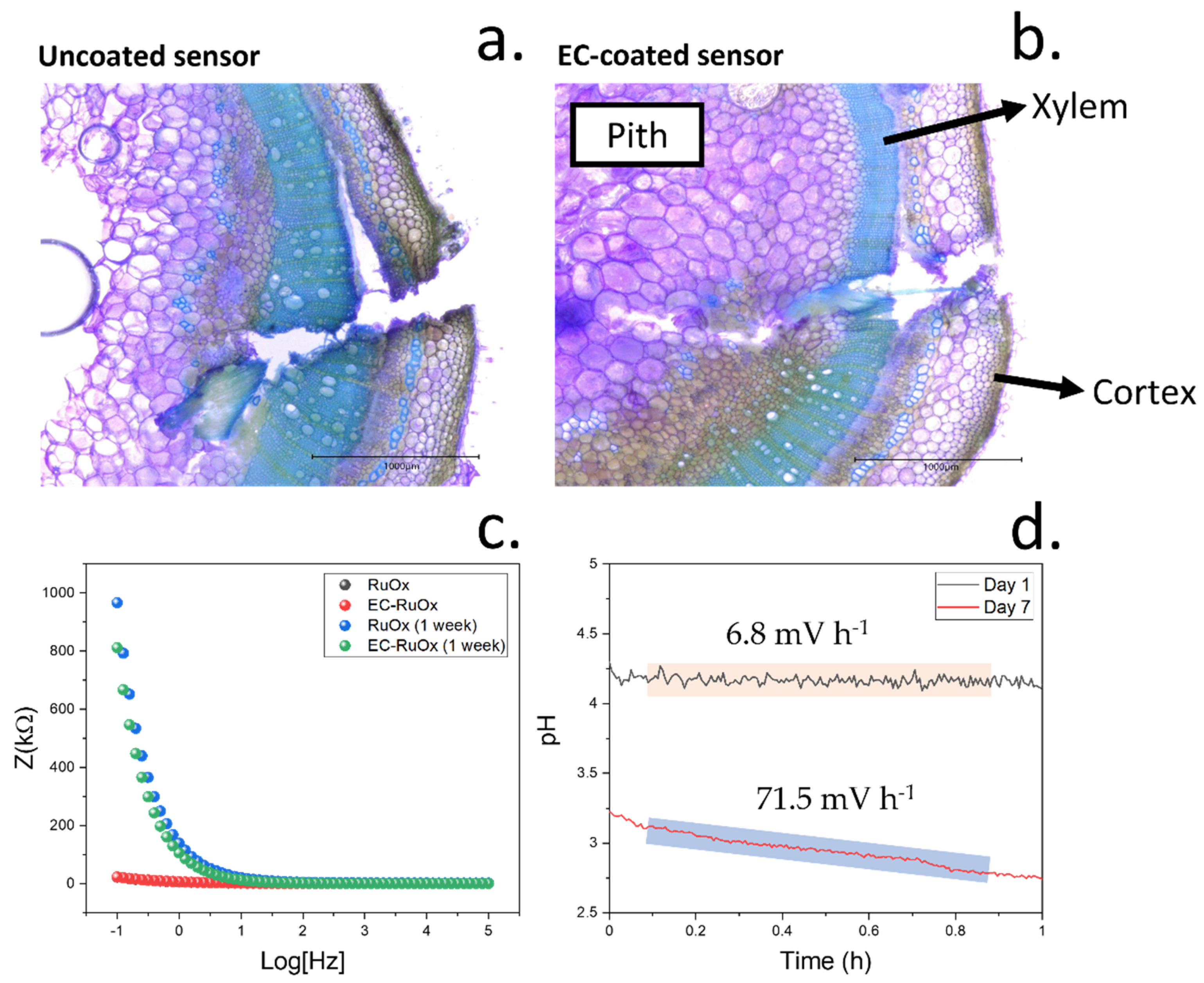 Biosensors 12 00447 g008 550