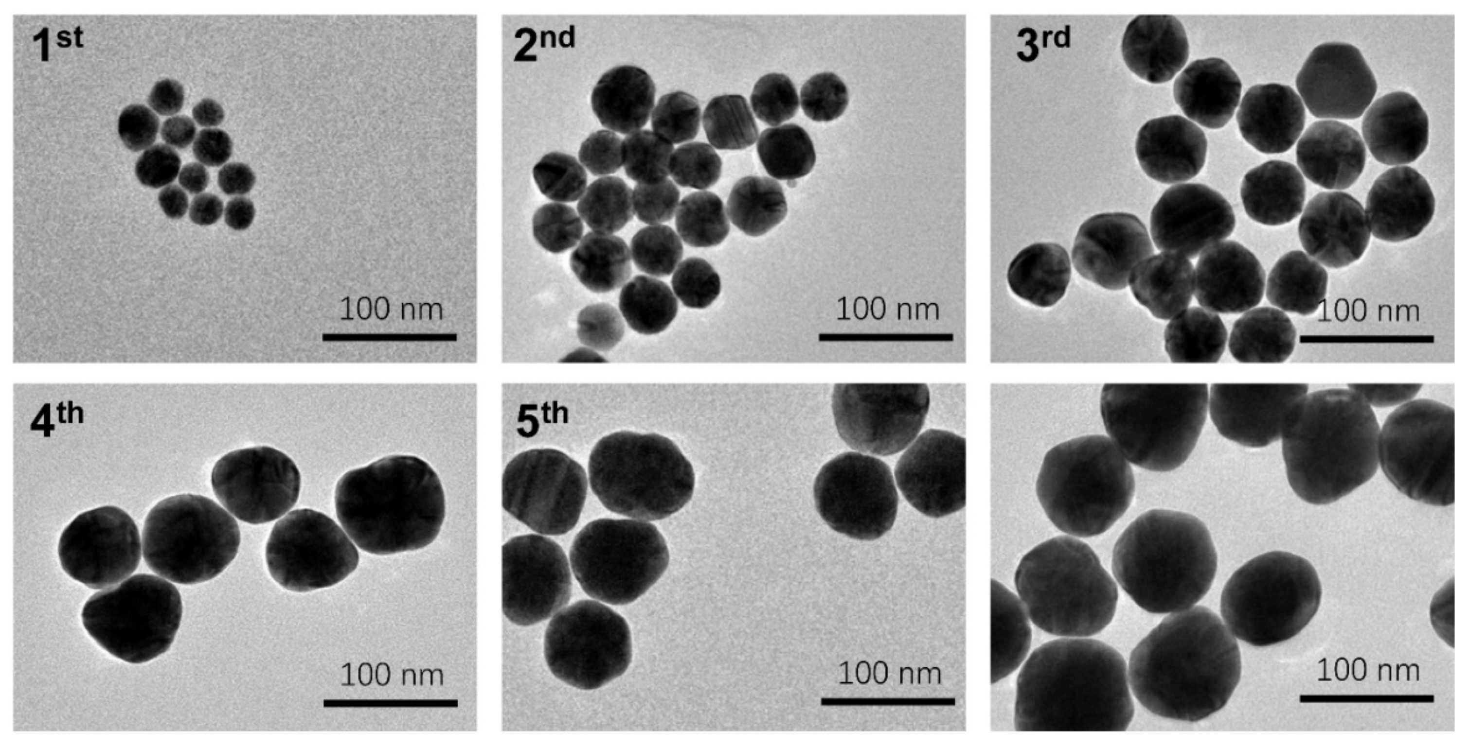 Biosensors 12 00448 g001