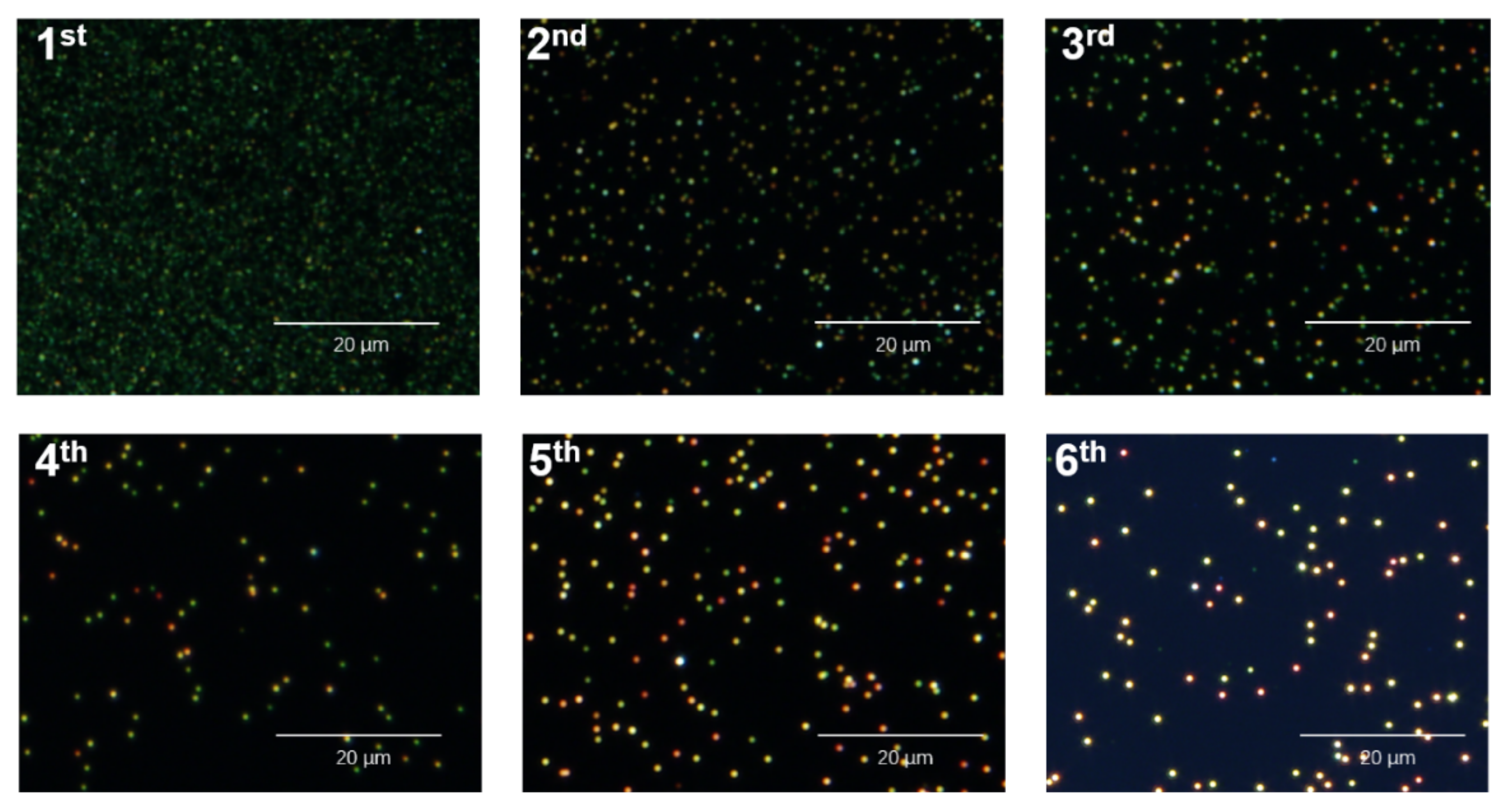 Biosensors 12 00448 g002