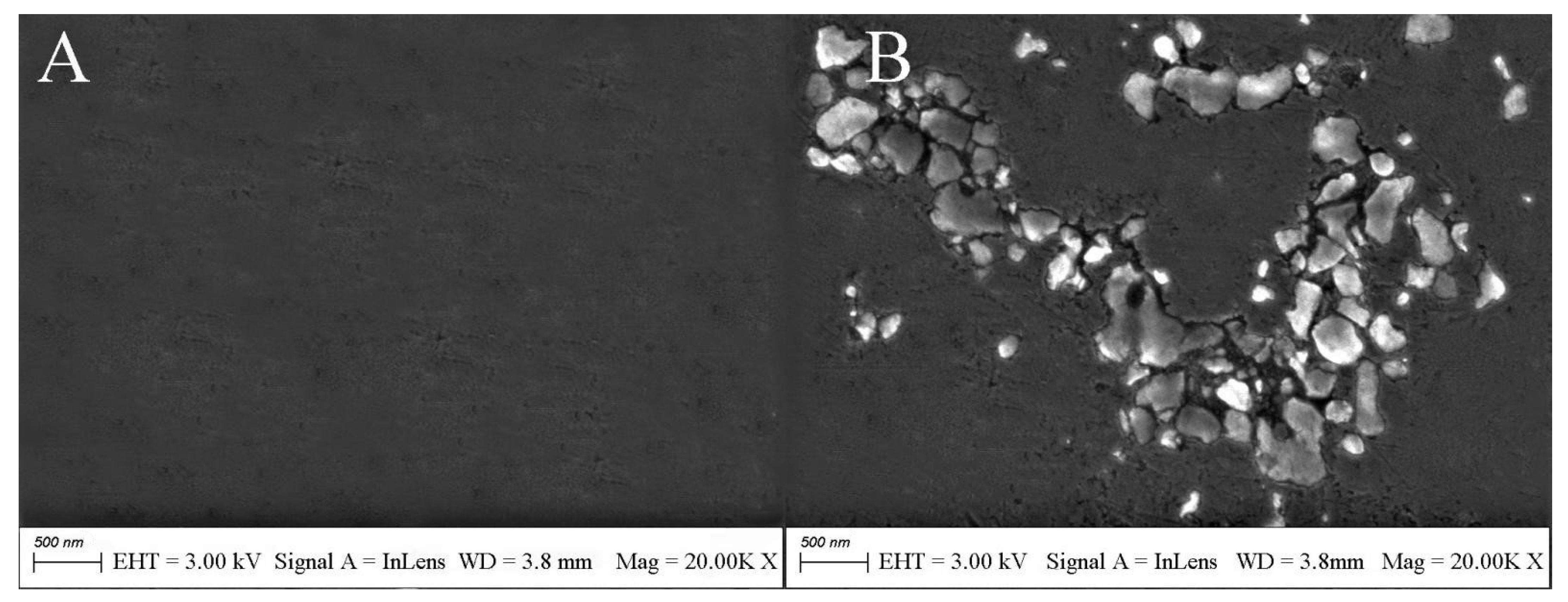 Biosensors 12 00449 g004