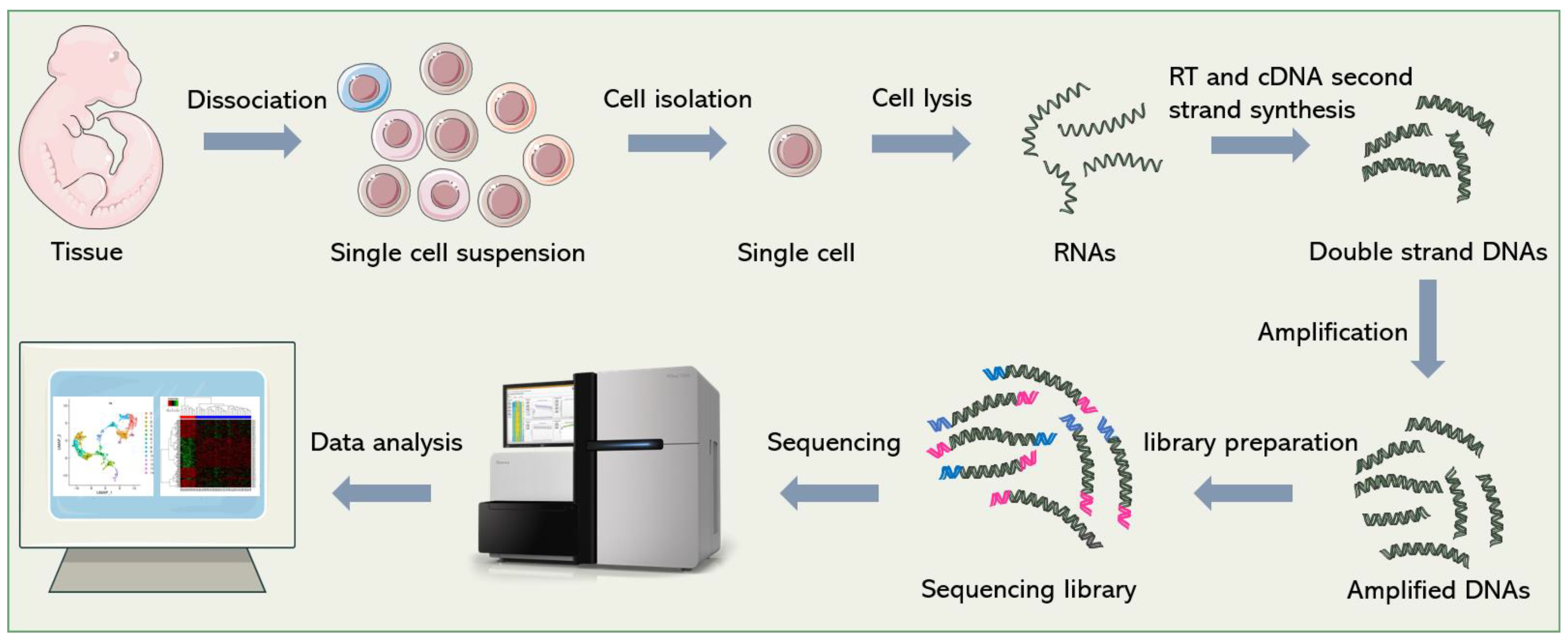 Microfluidic Platform for Next-Generation Sequencing Library Preparation  with Low-Input Samples