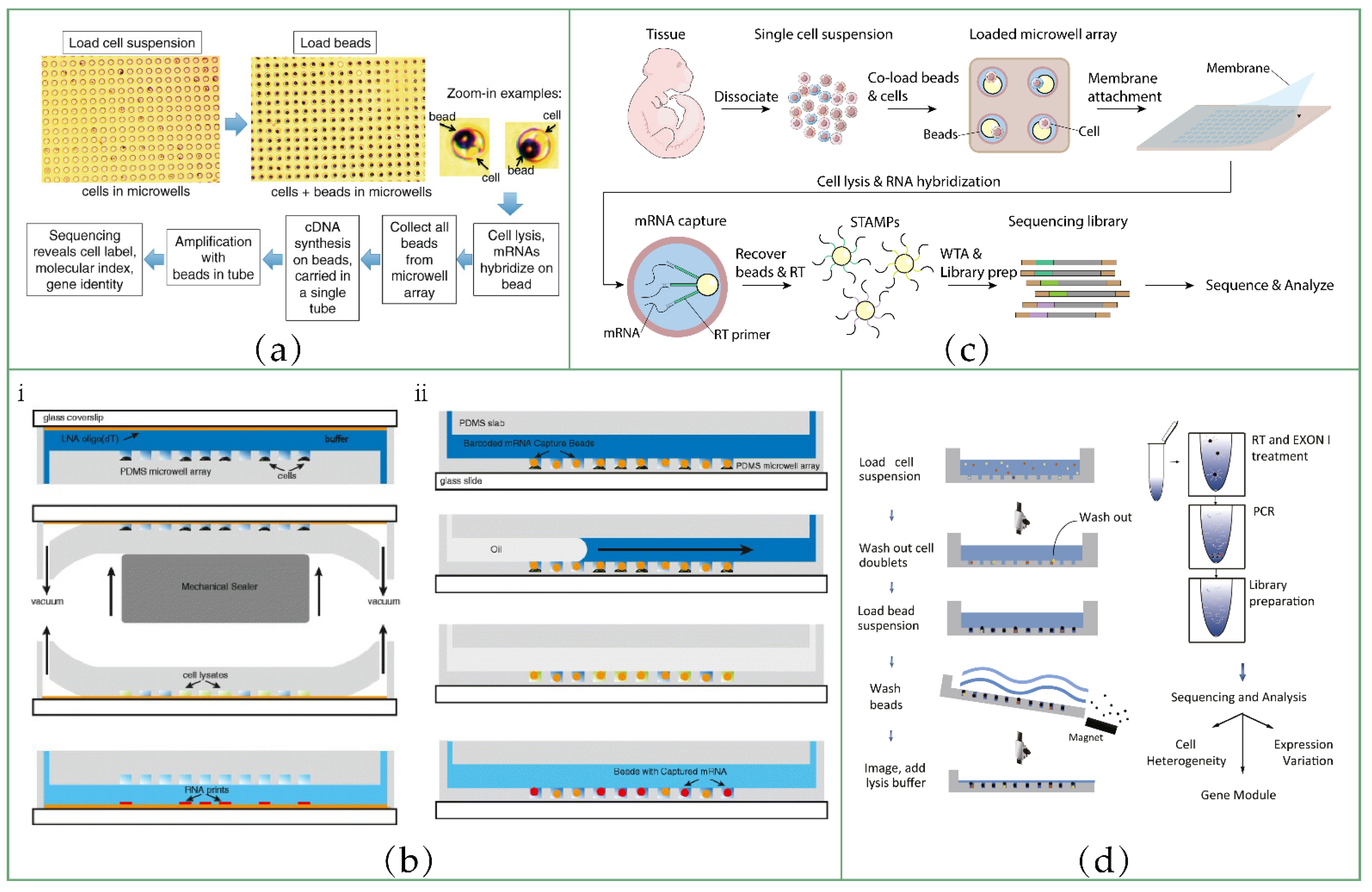 Biosensors 12 00450 g005