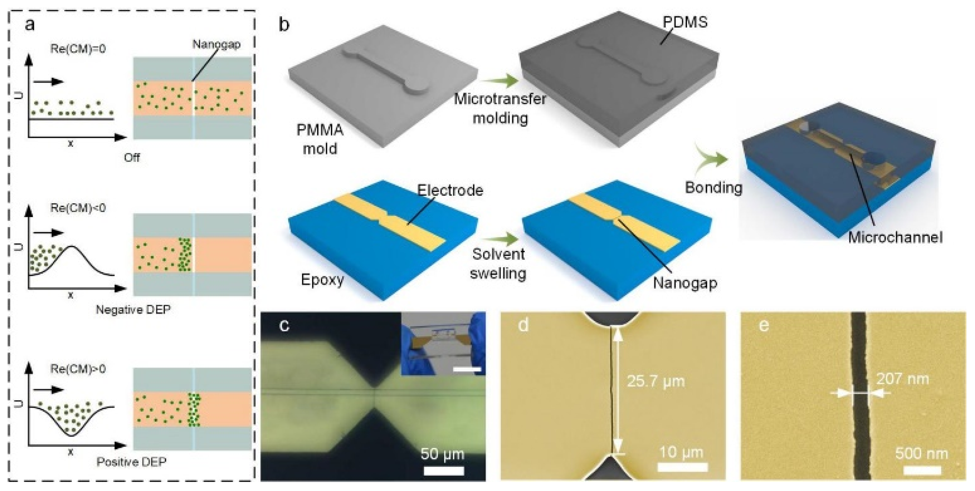 Nanogap Electrode-Enabled Versatile Electrokinetic Manipulation of 