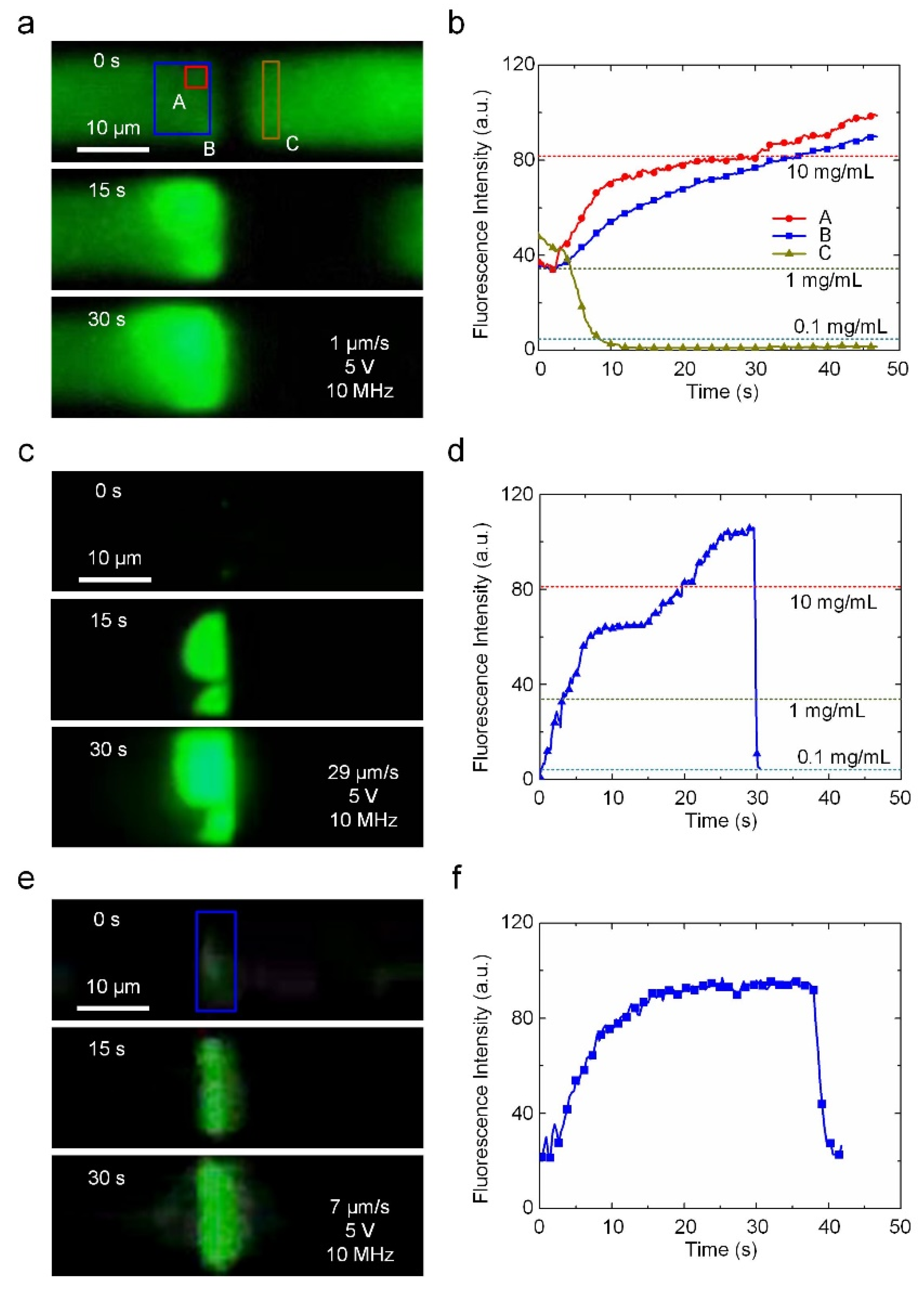 Biosensors 12 00451 g003