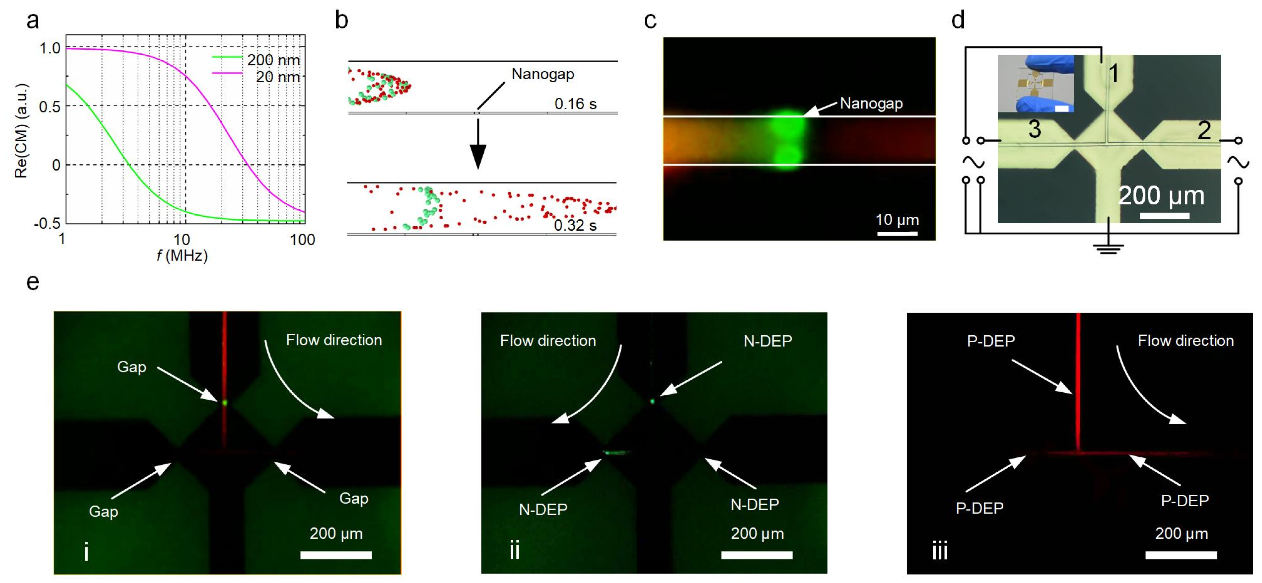 Biosensors 12 00451 g004