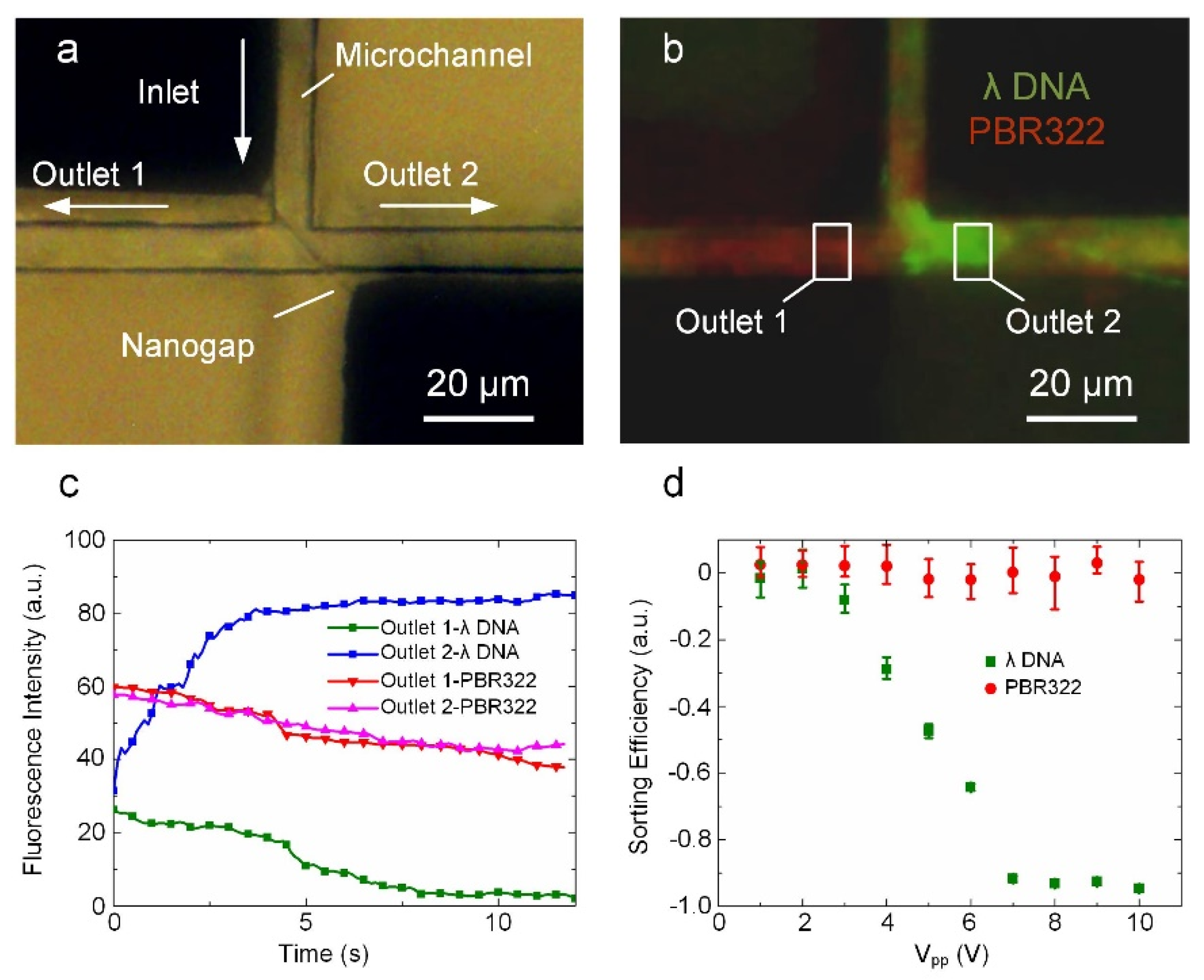 Biosensors 12 00451 g005