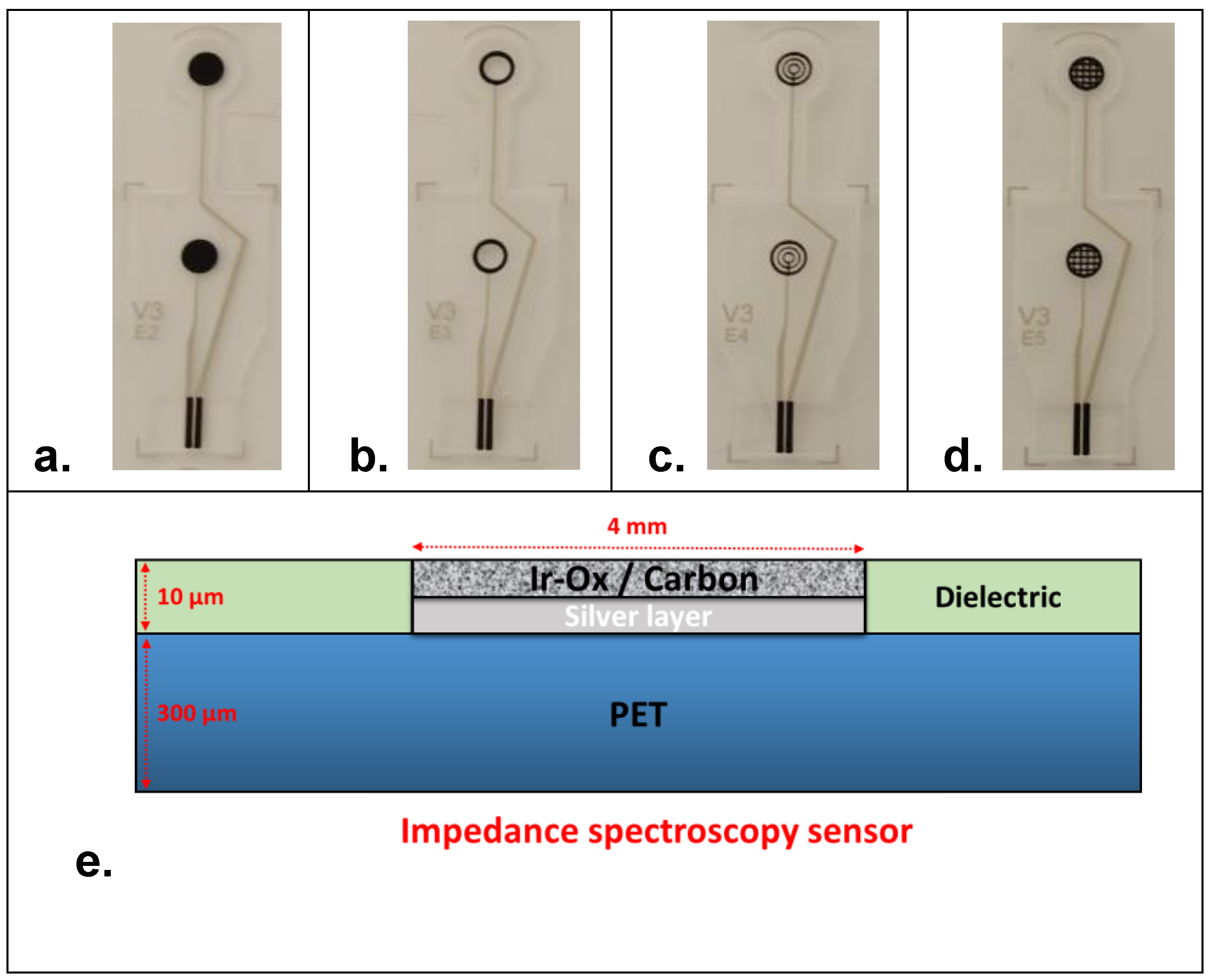 Biosensors 12 00452 g001