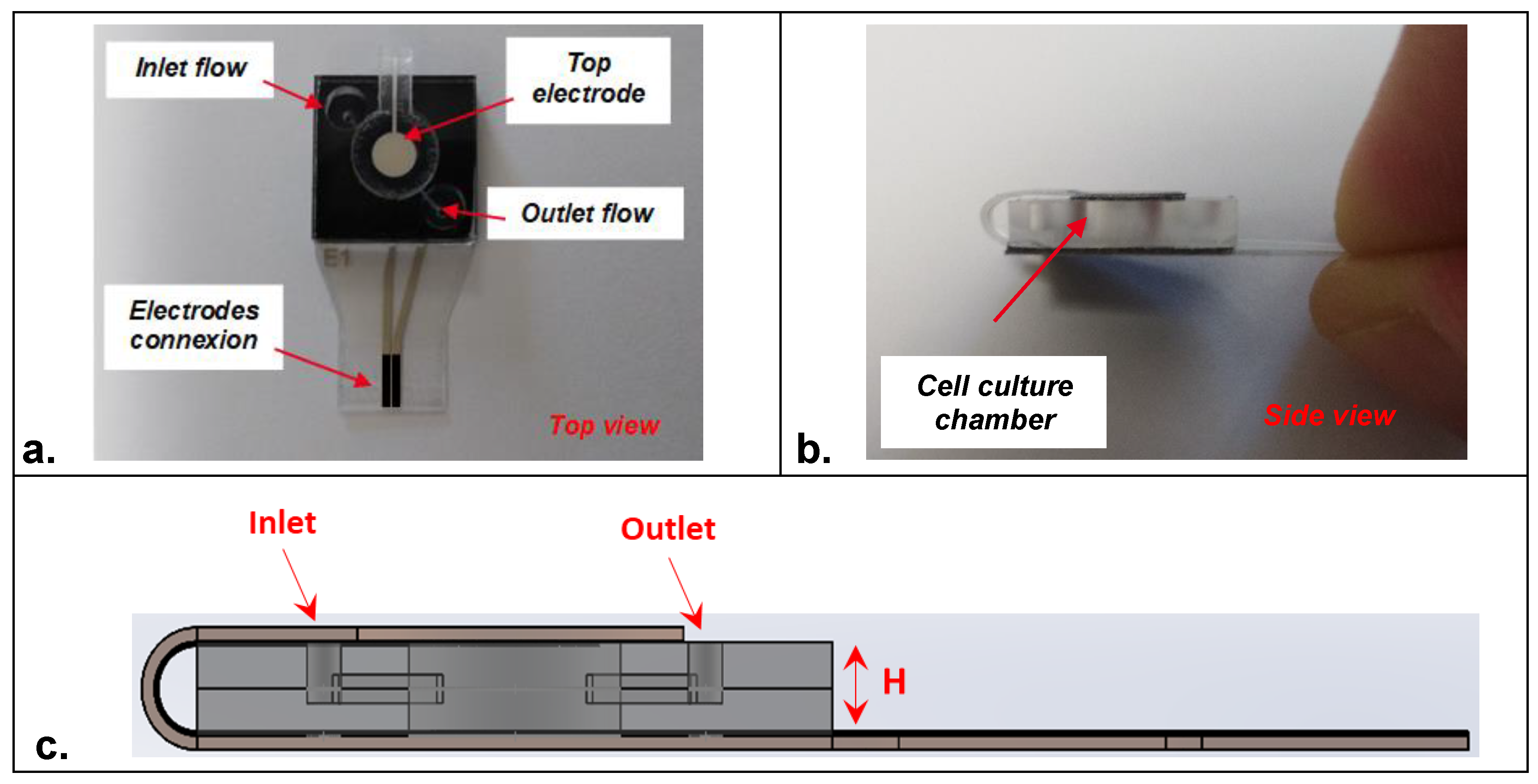 Biosensors 12 00452 g002