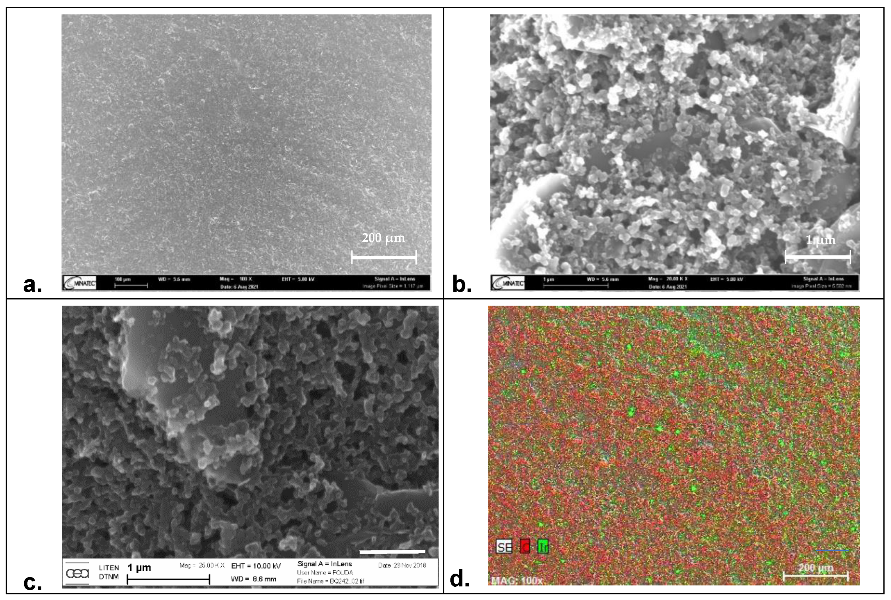 Biosensors 12 00452 g004