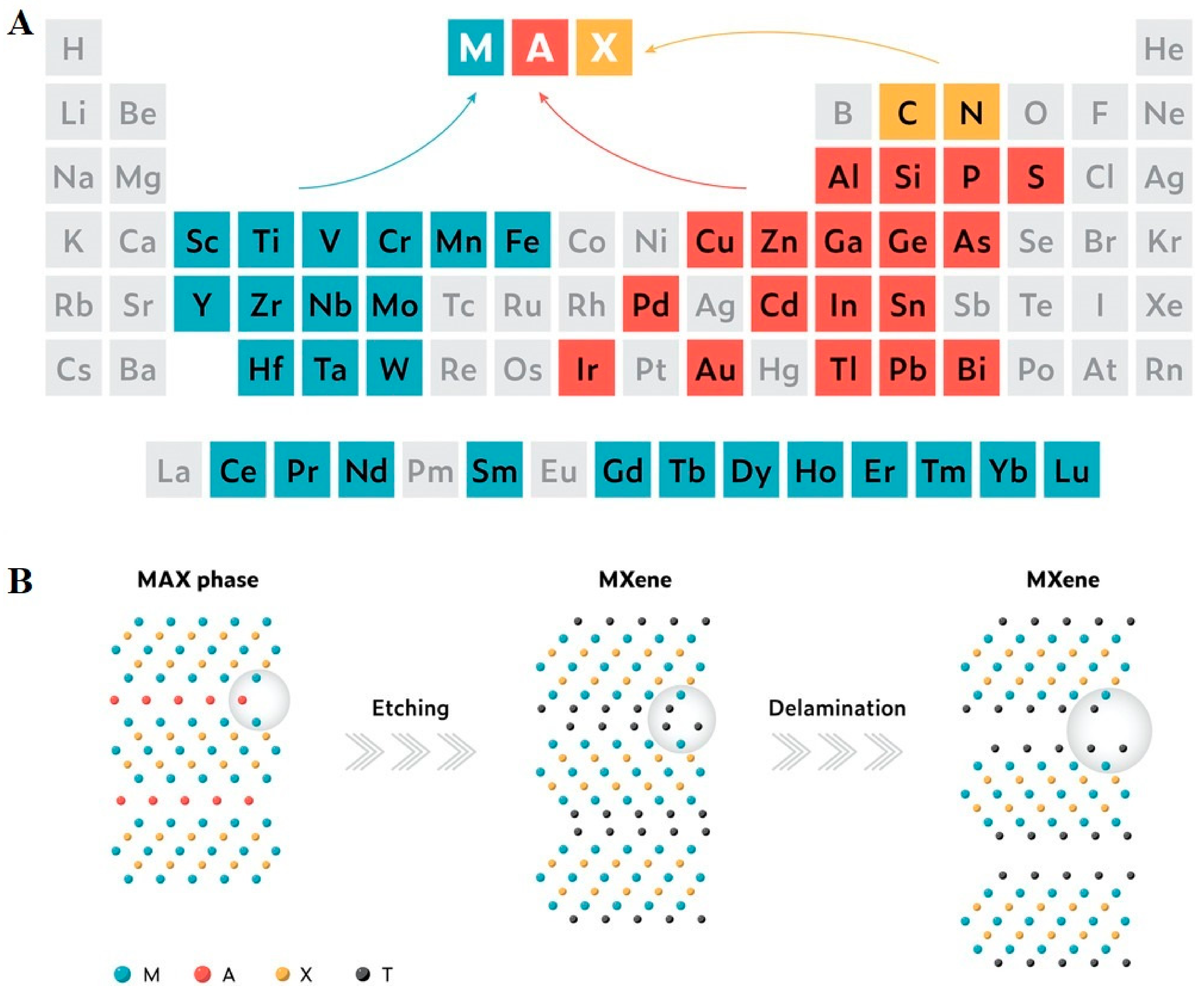 Biosensors 12 00454 g001