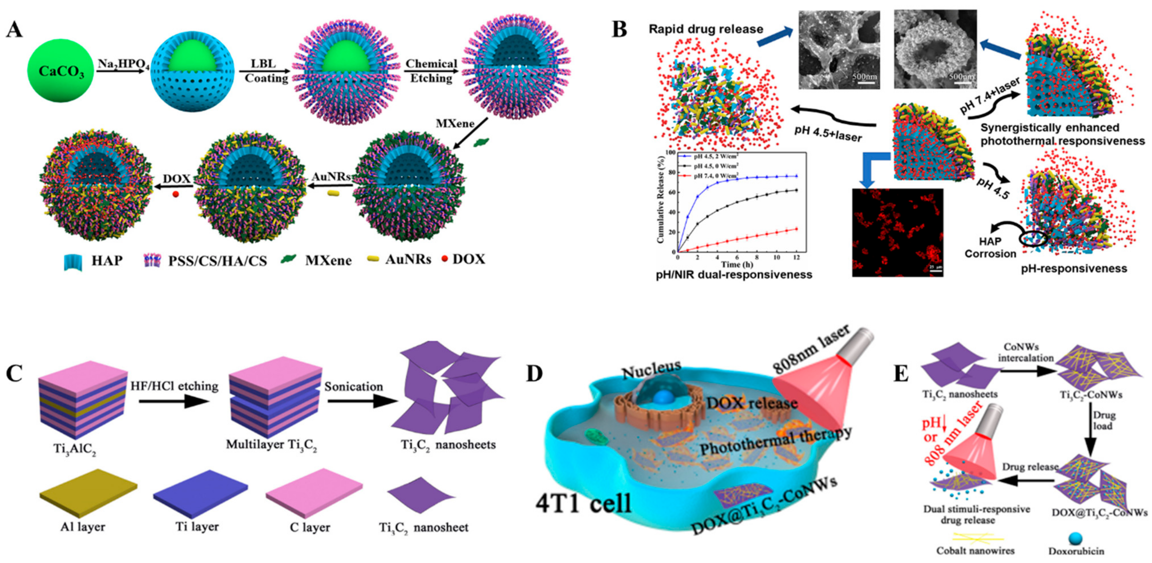 Biosensors 12 00454 g002