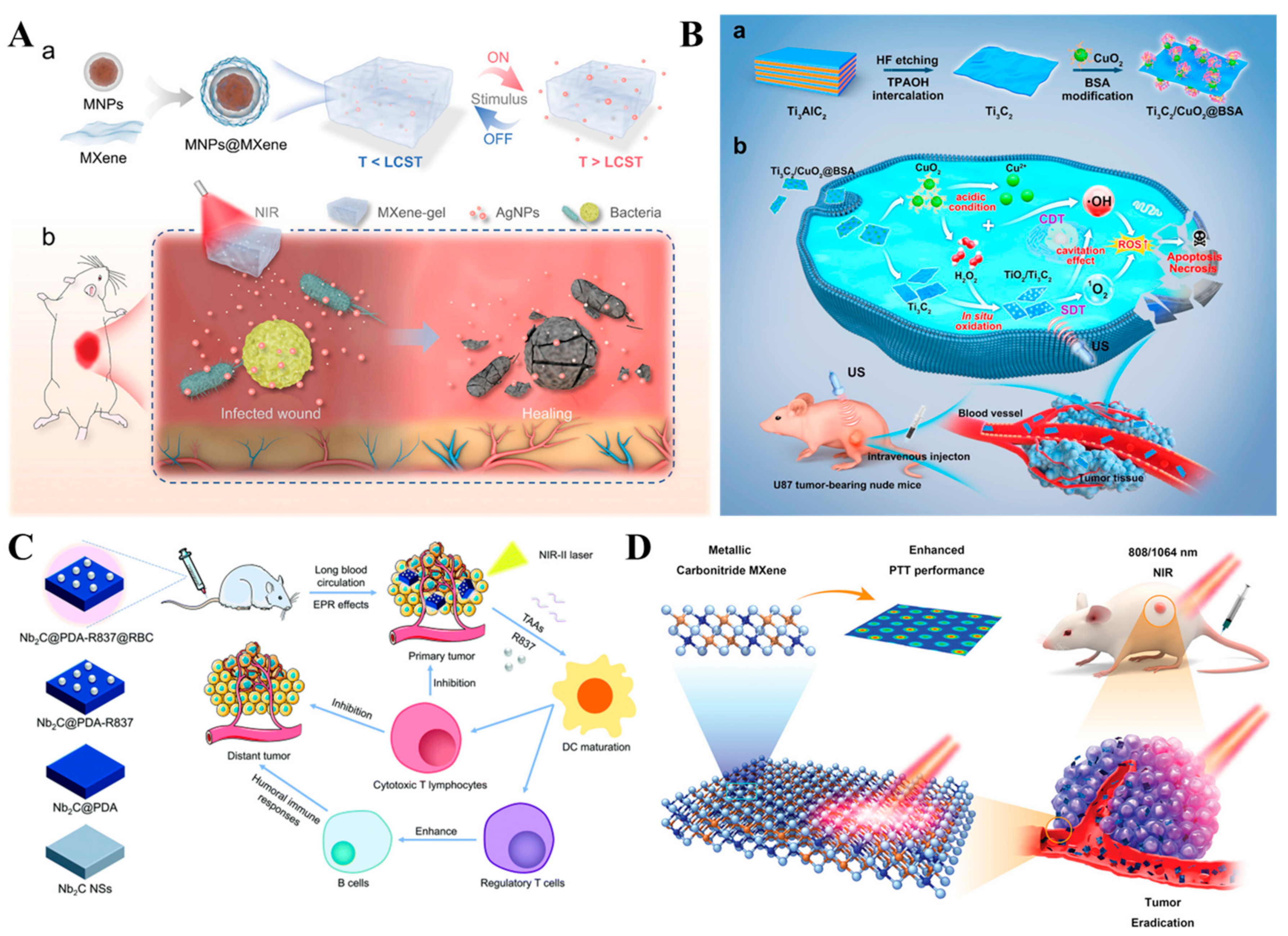 Biosensors 12 00454 g003