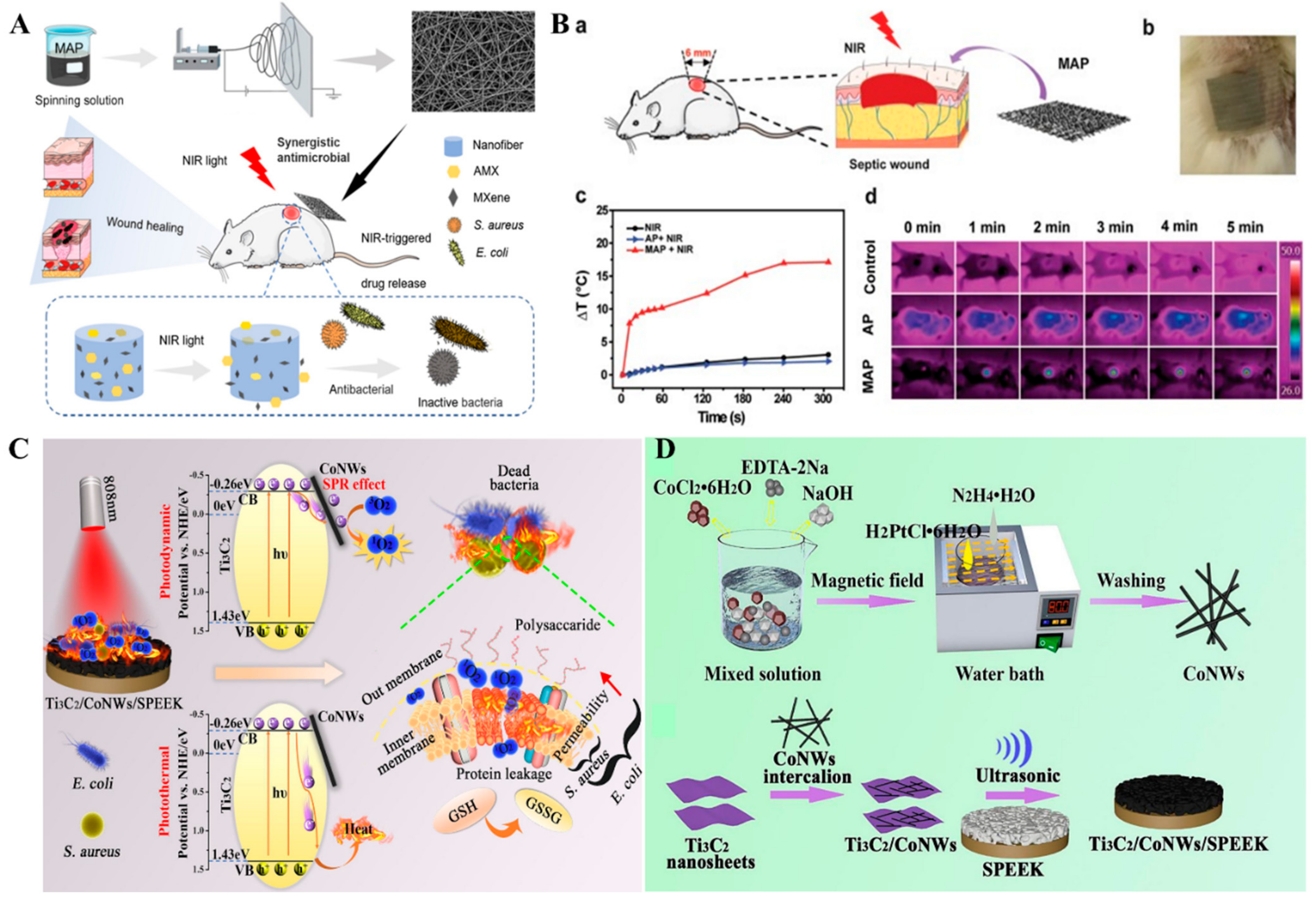 Biosensors 12 00454 g004