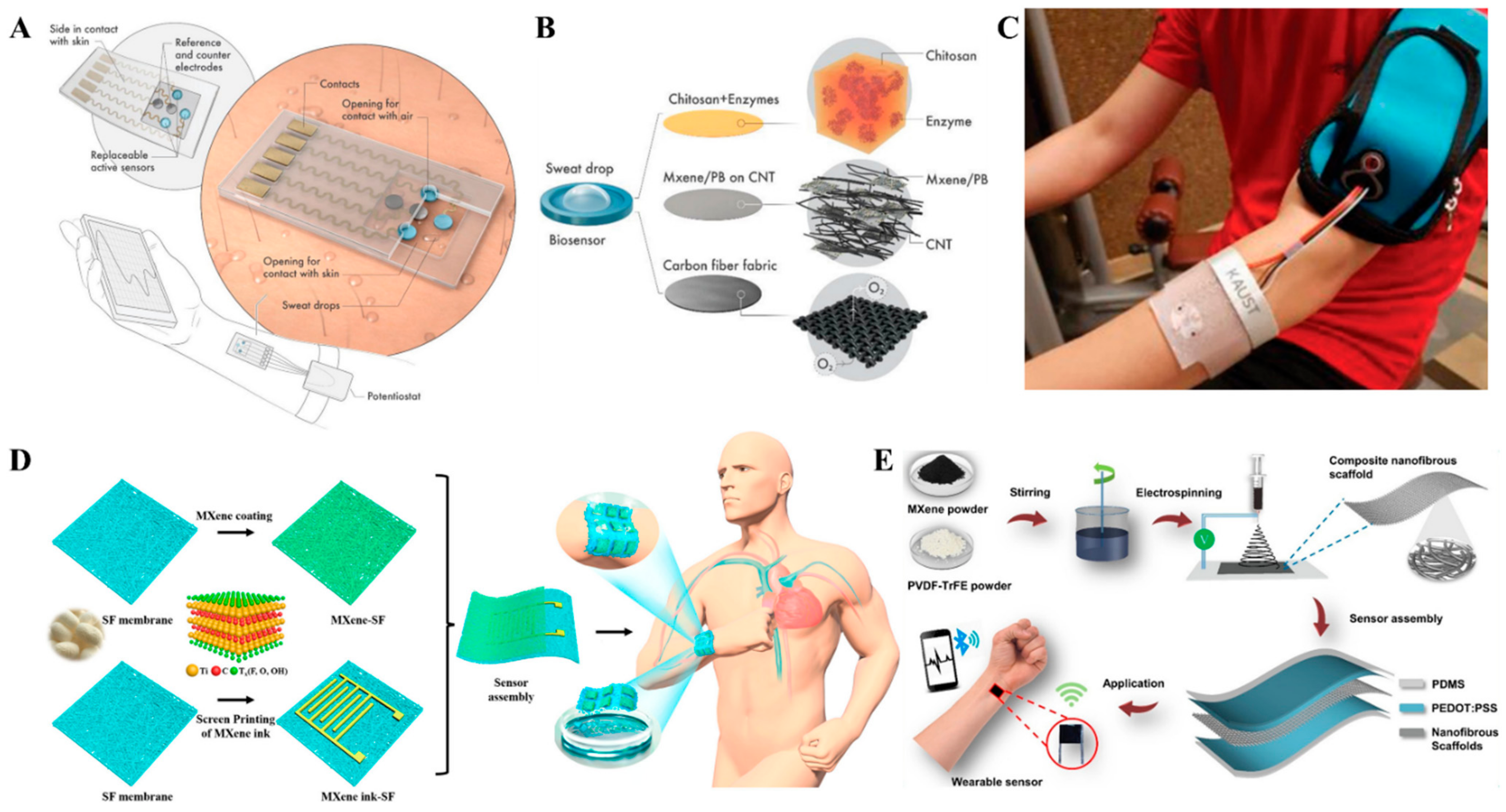 Biosensors 12 00454 g006