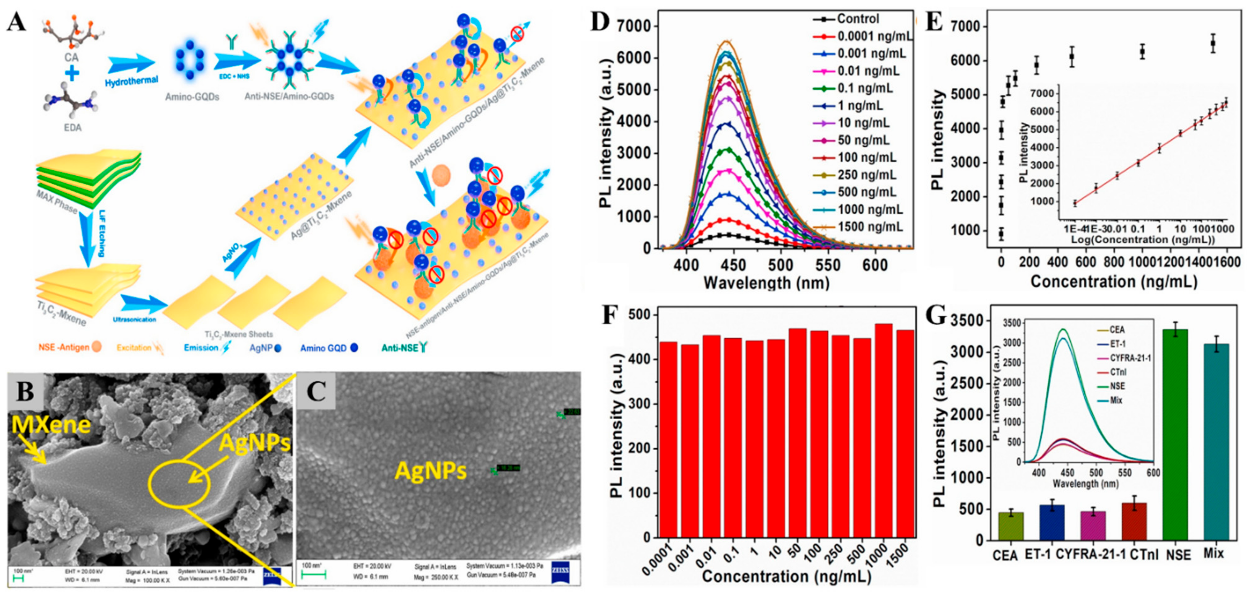 Biosensors 12 00454 g008