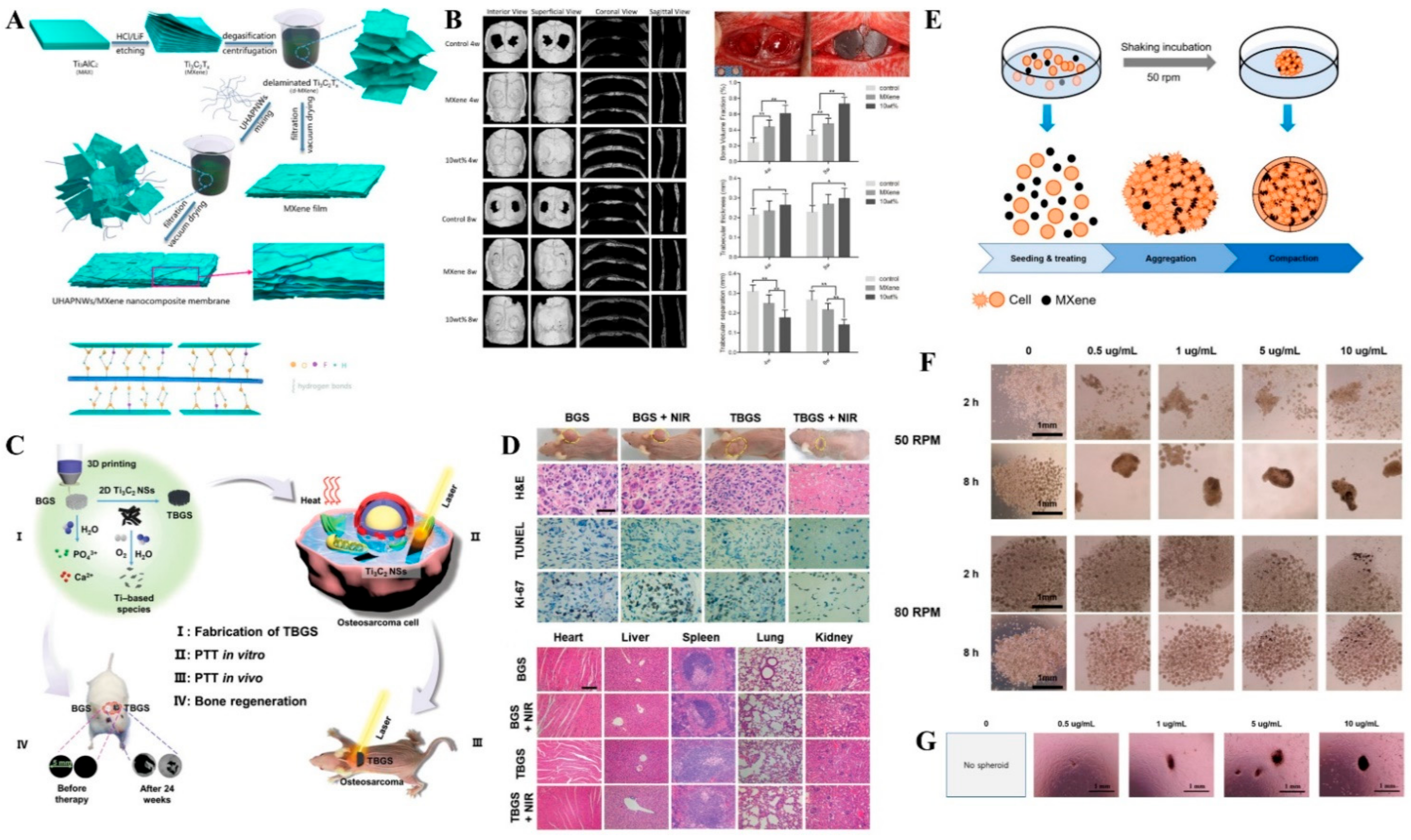 Biosensors 12 00454 g011