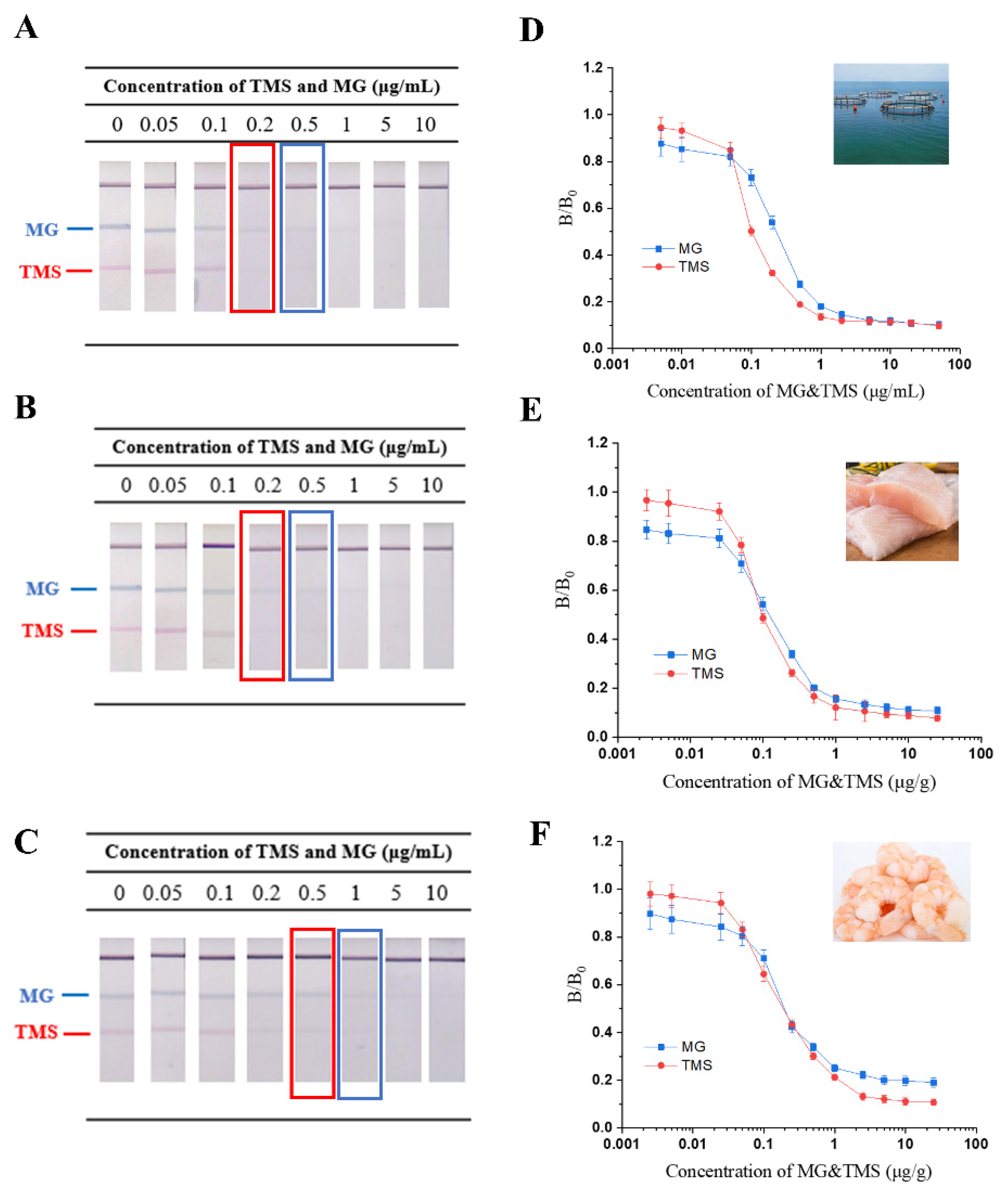 Biosensors 12 00456 g004 550