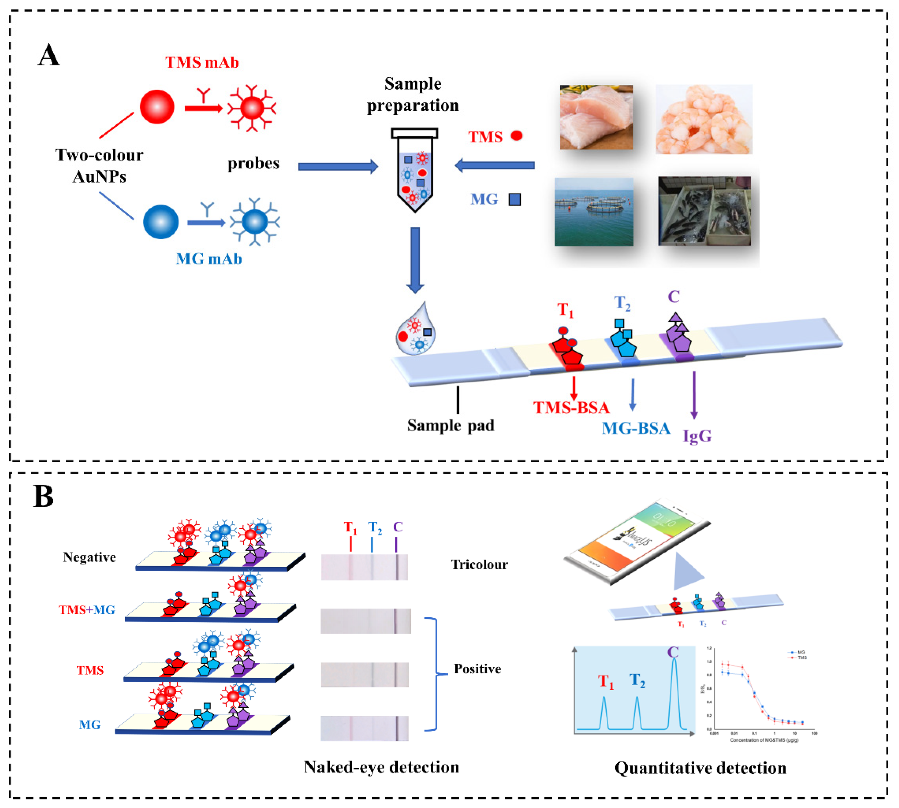 Biosensors 12 00456 sch001 550