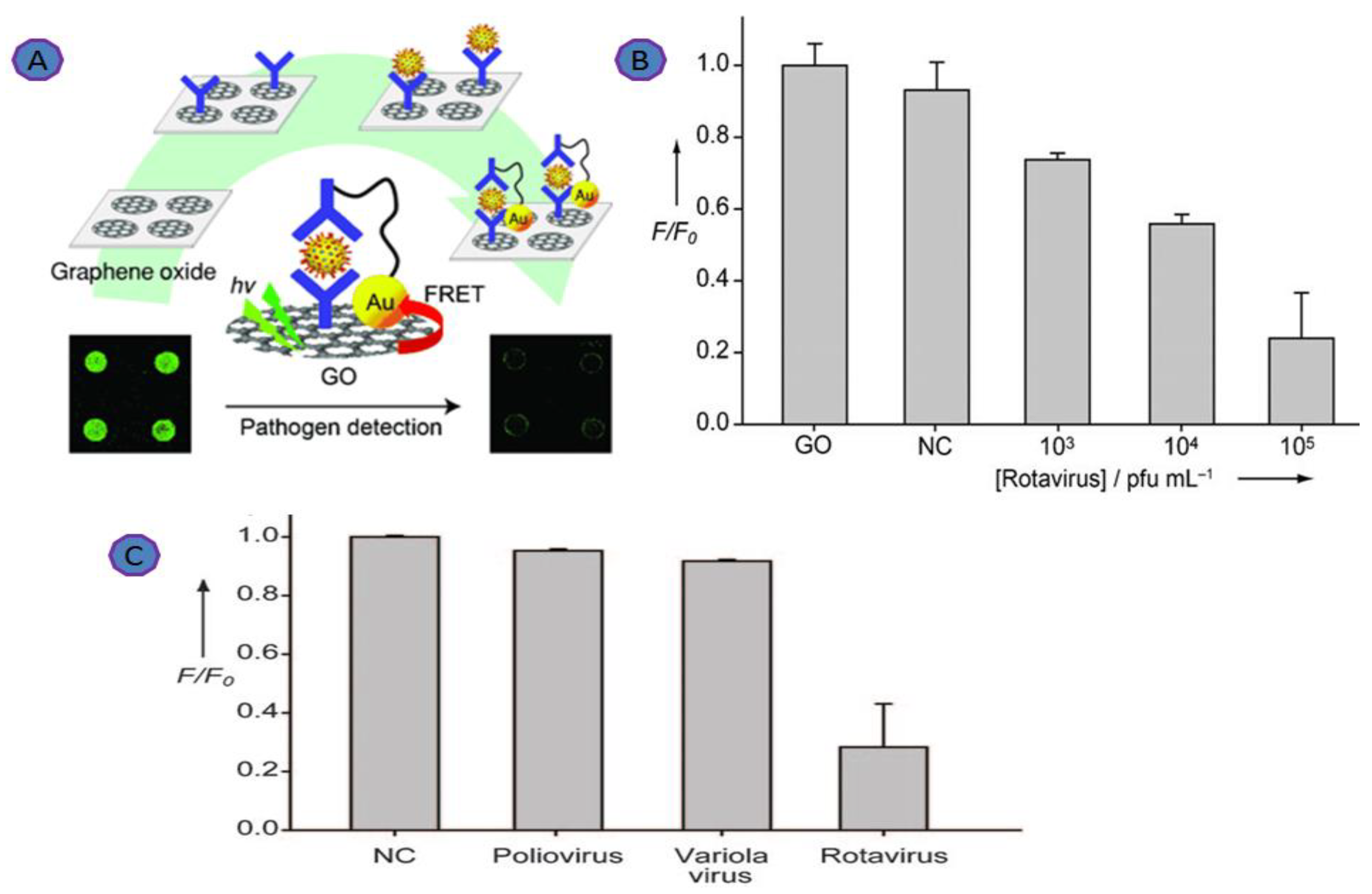Biosensors 12 00460 g003 Biosensors 12 00460 g003