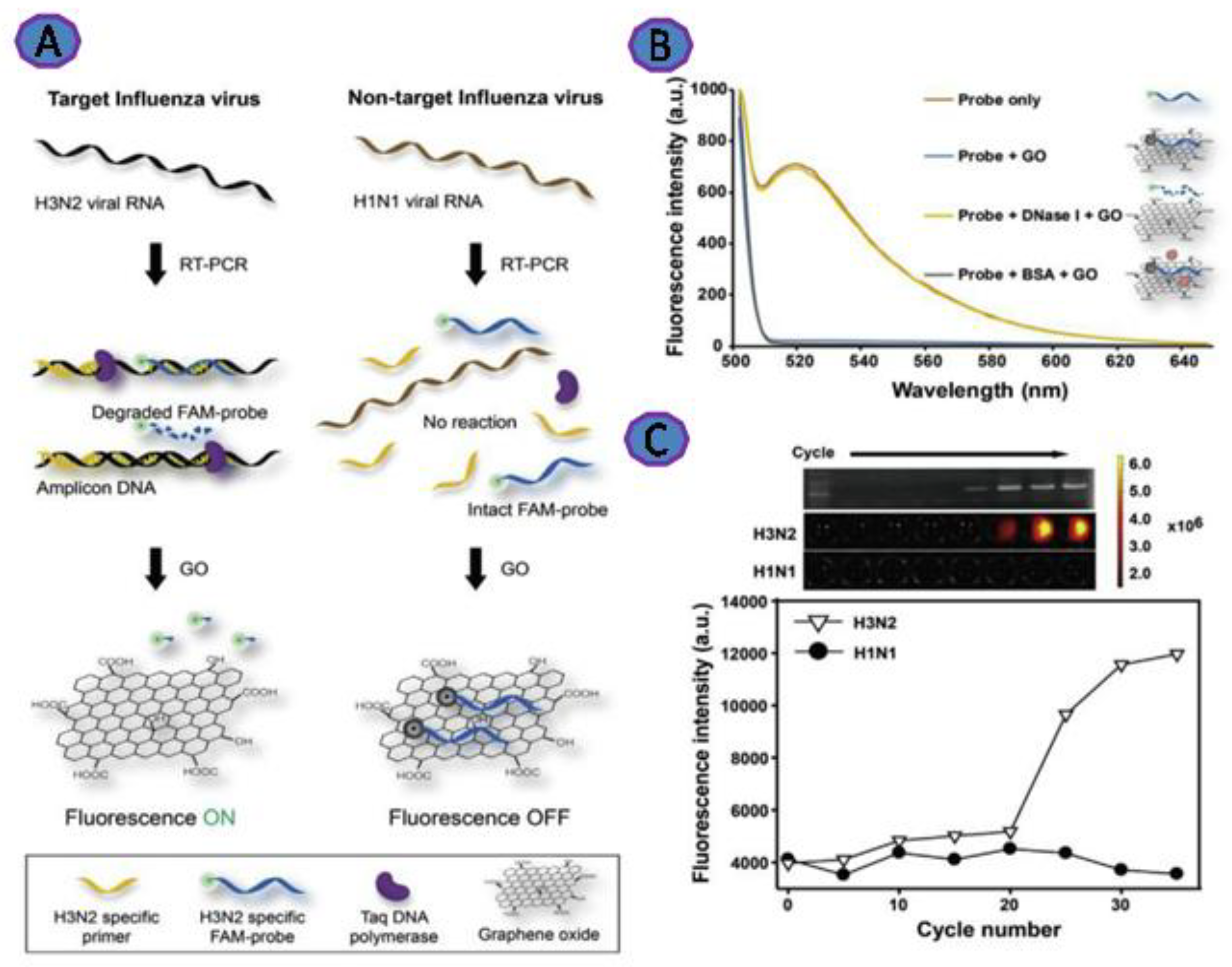 Biosensors 12 00460 g005 Biosensors 12 00460 g005
