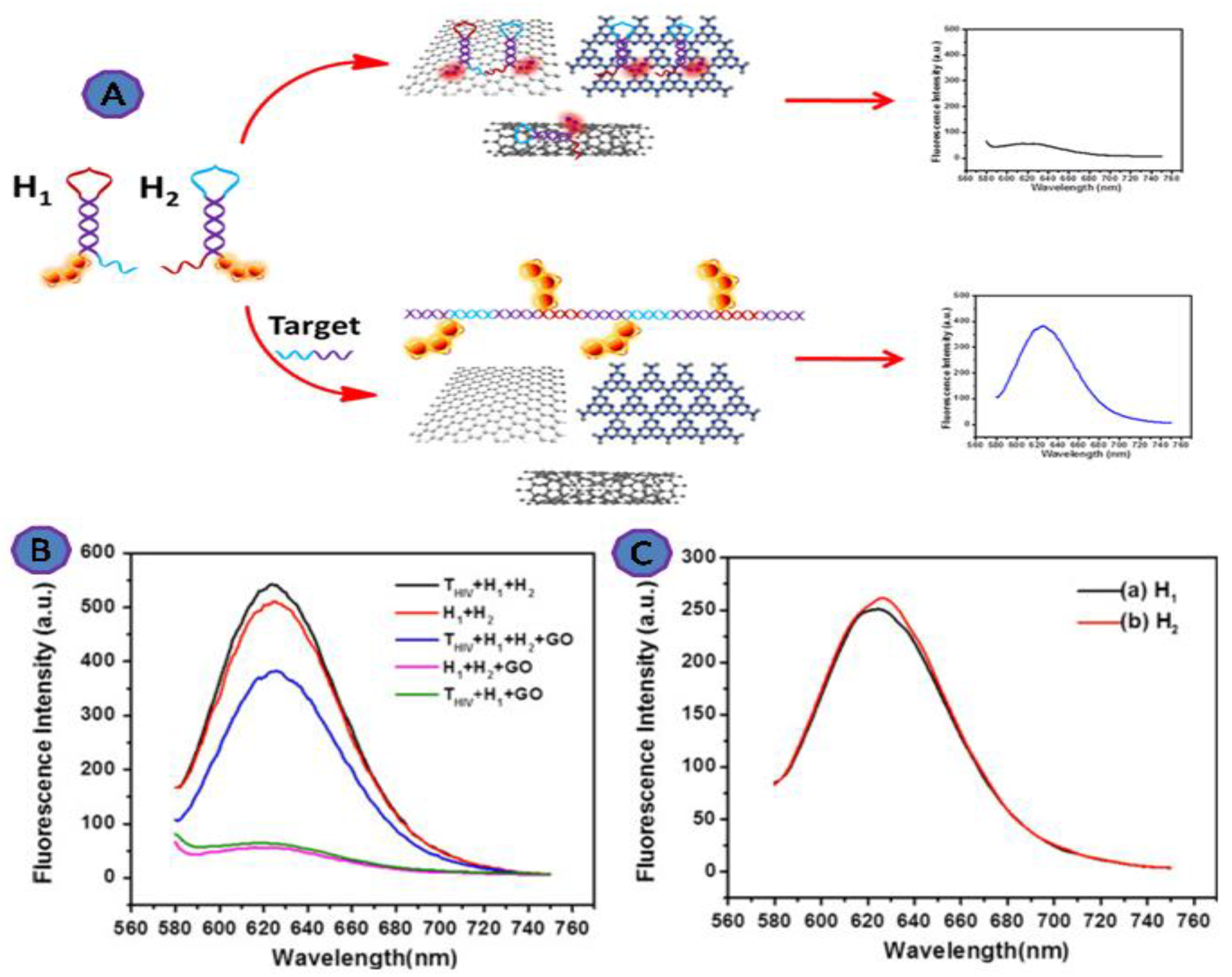 Biosensors 12 00460 g008 Biosensors 12 00460 g008