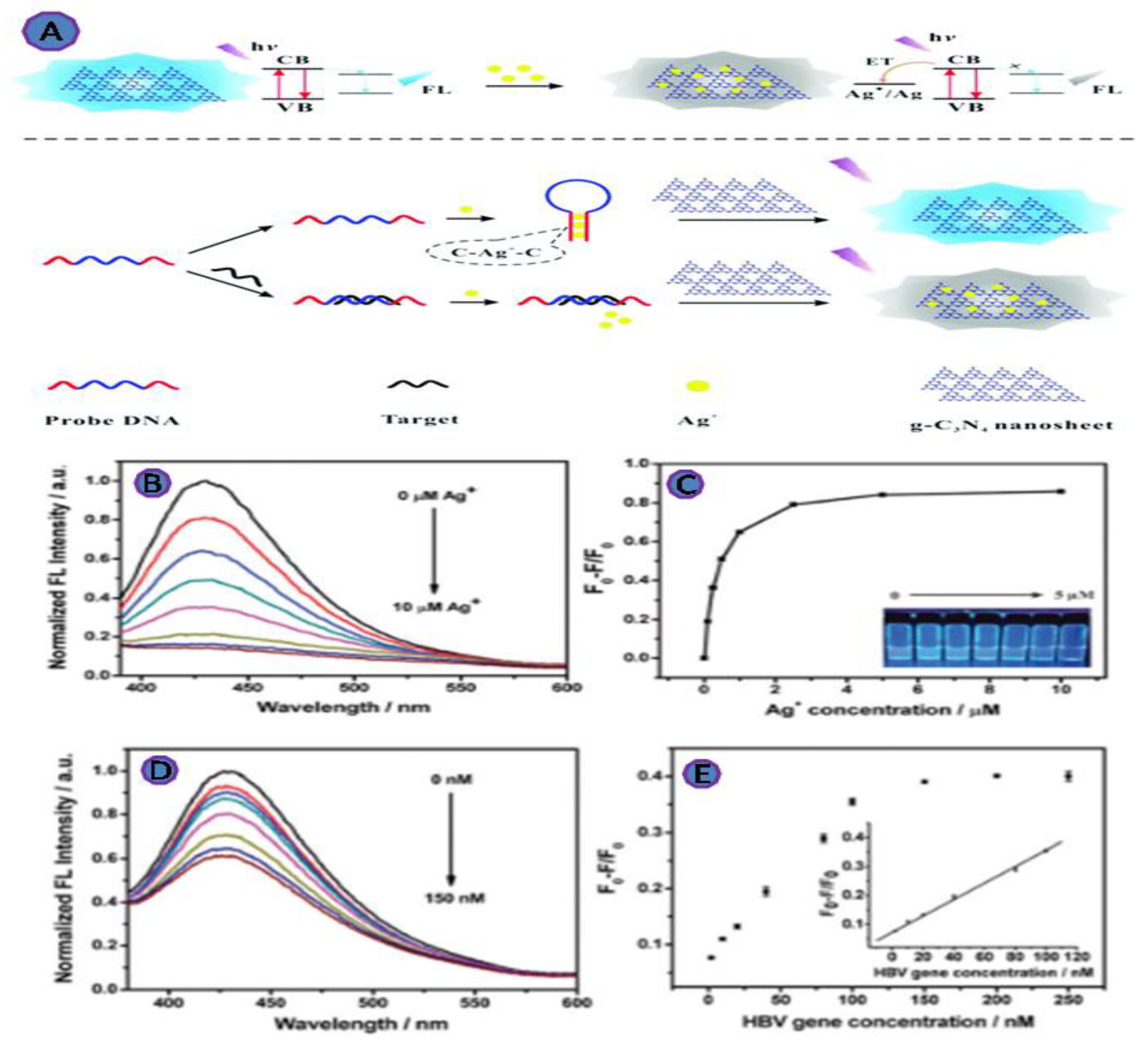 Biosensors 12 00460 g010 Biosensors 12 00460 g010