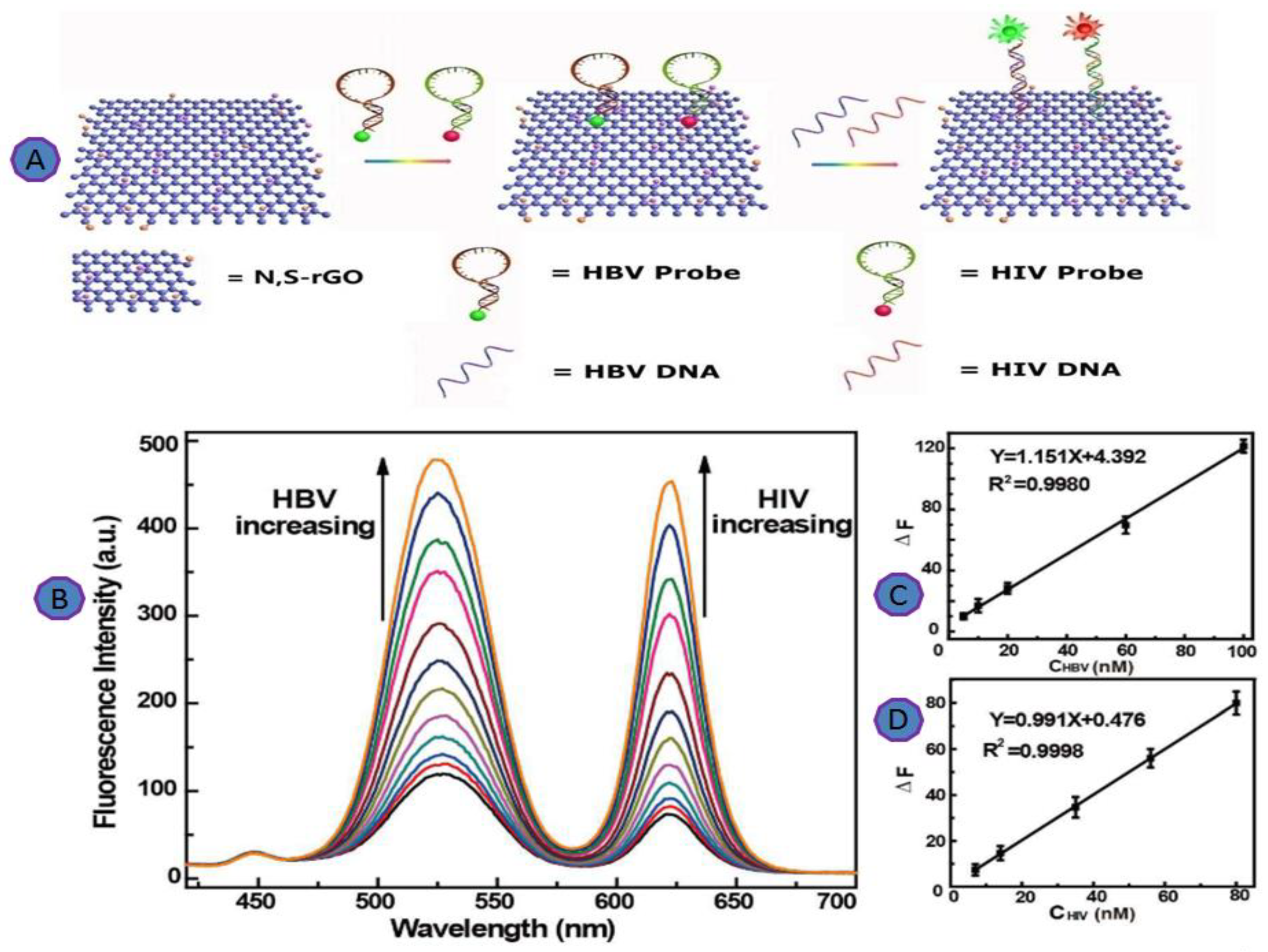 Biosensors 12 00460 g012 Biosensors 12 00460 g012