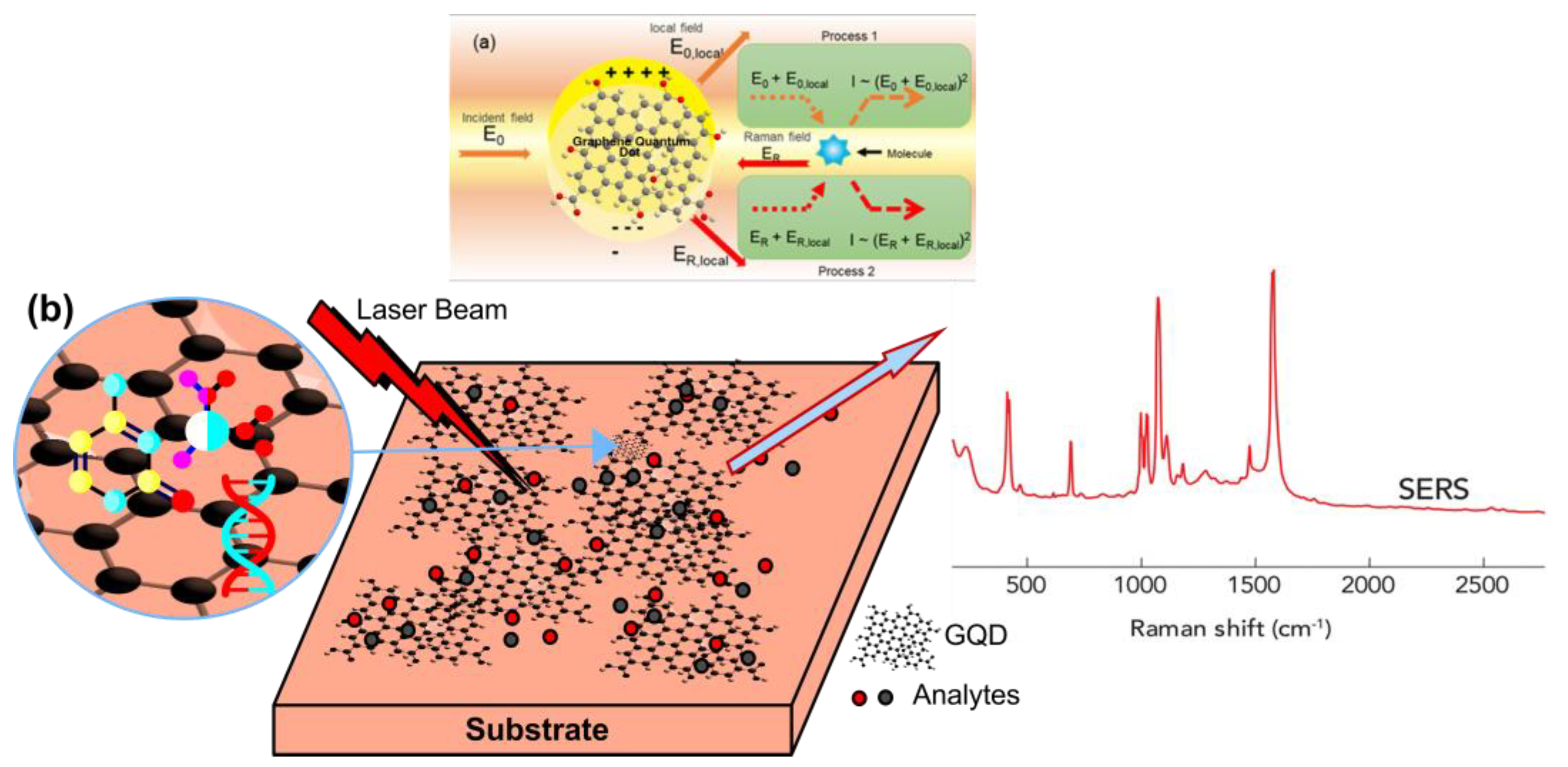 Biosensors 12 00461 g004