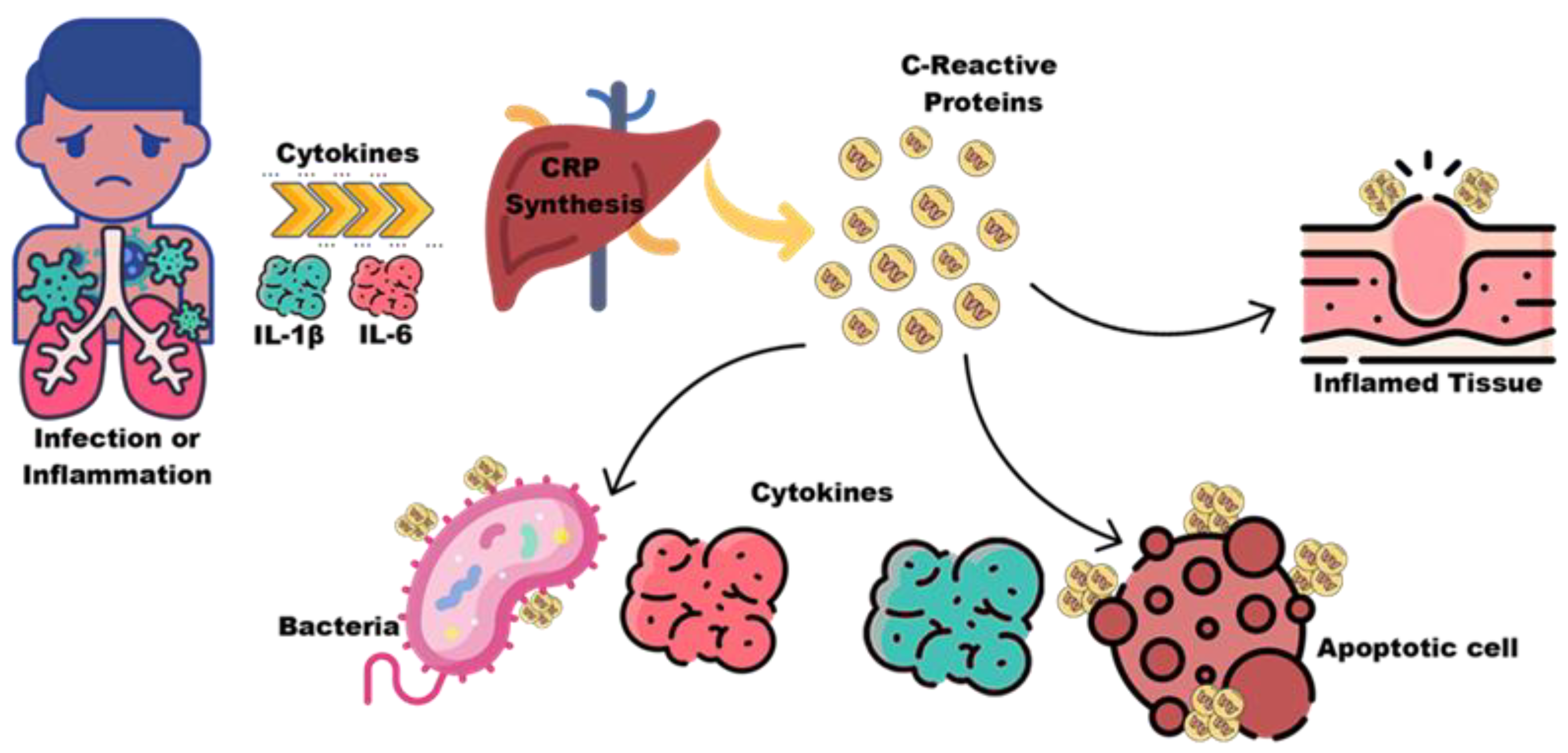 Biosensors 12 00461 g006