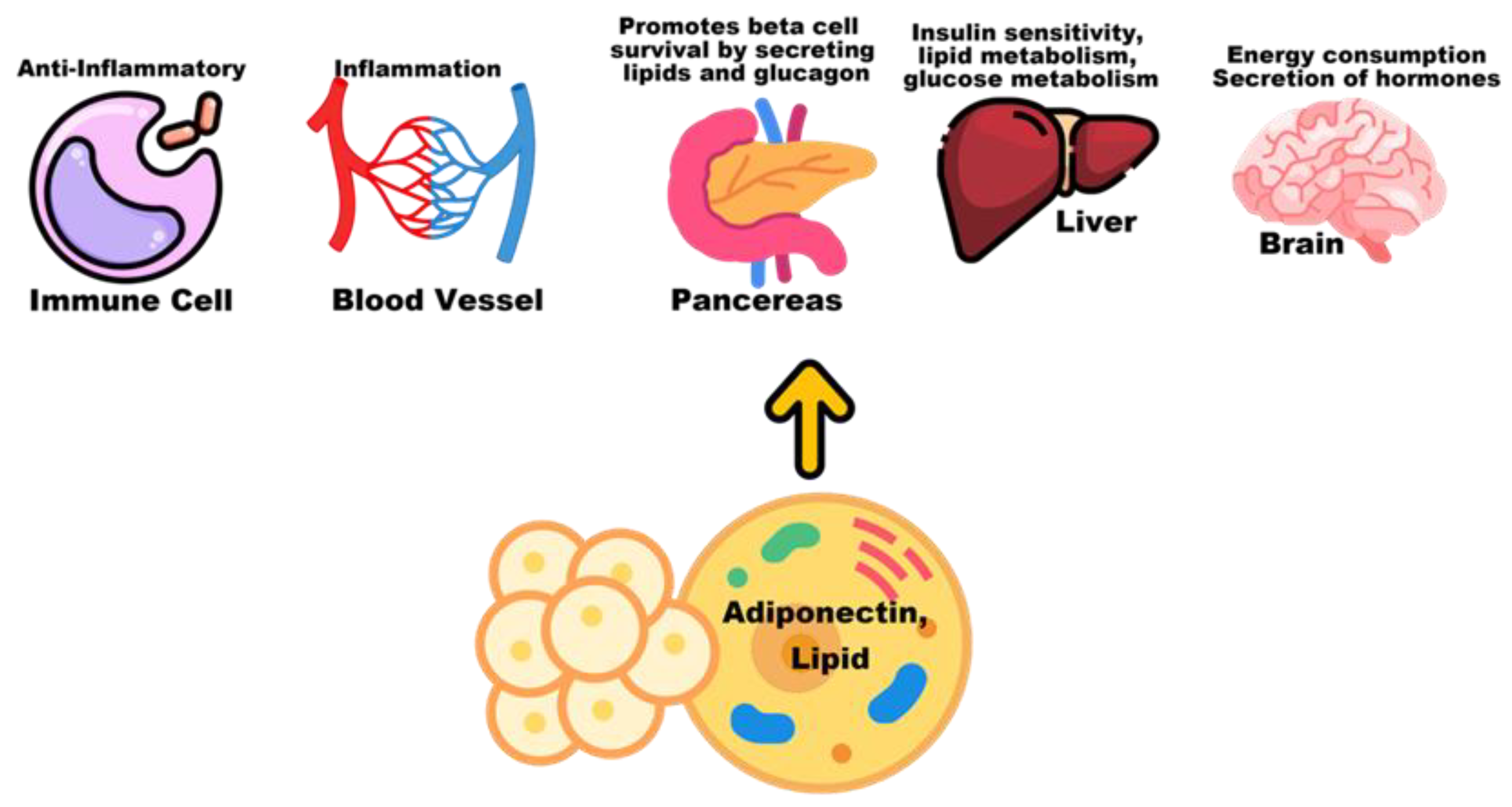 Biosensors 12 00461 g007
