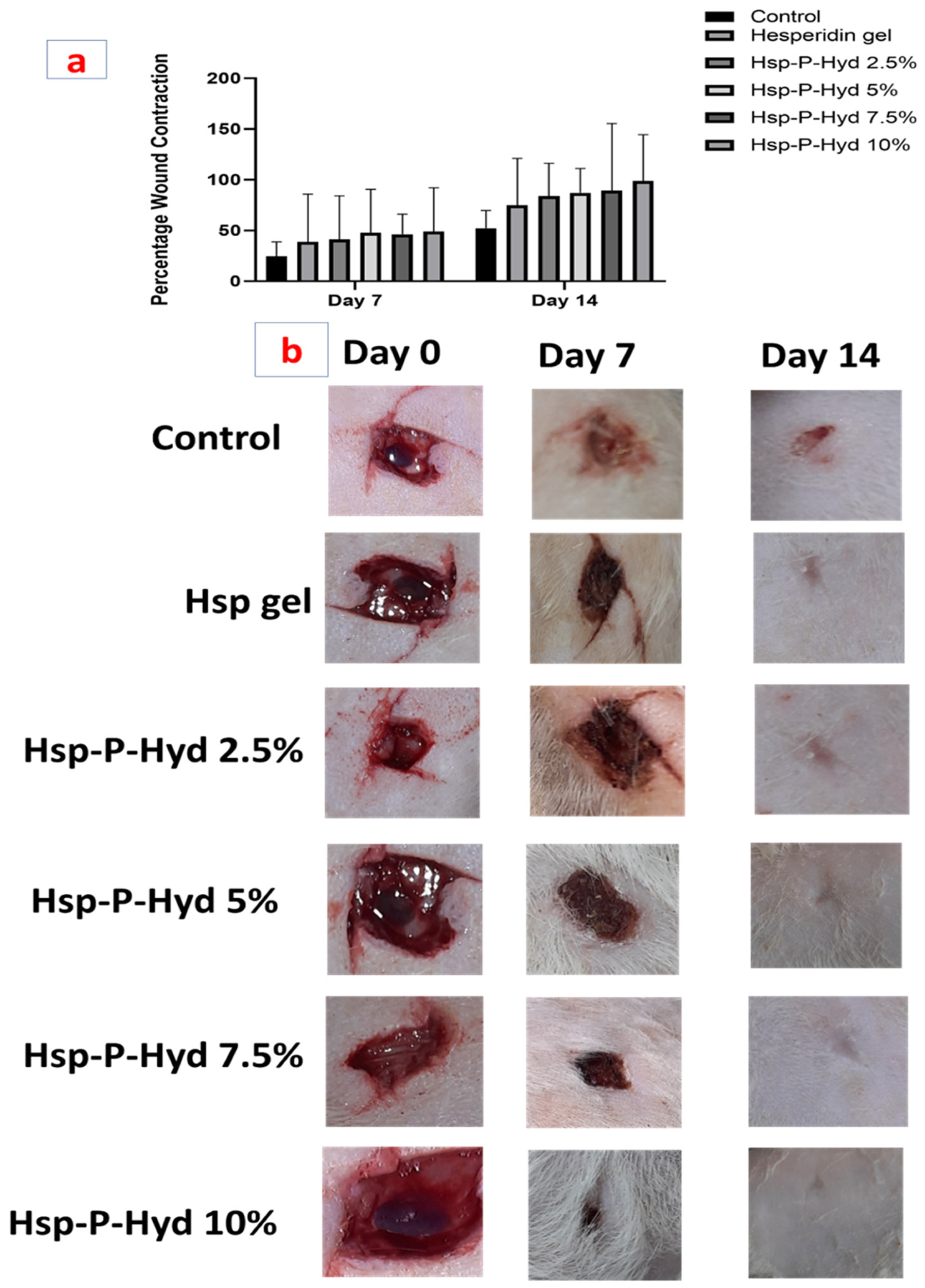 Biosensors 12 00462 g008 550