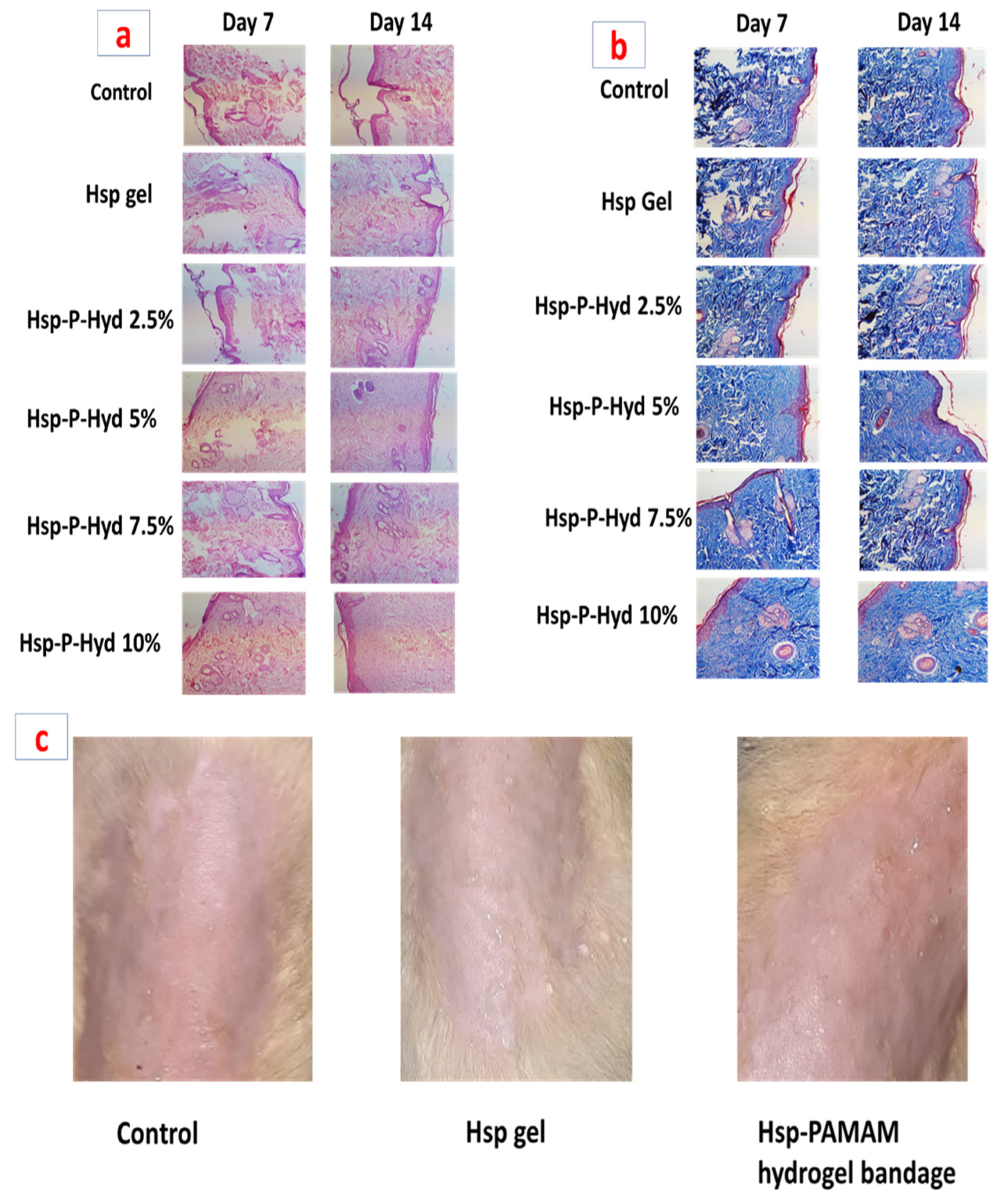 Biosensors 12 00462 g009 550