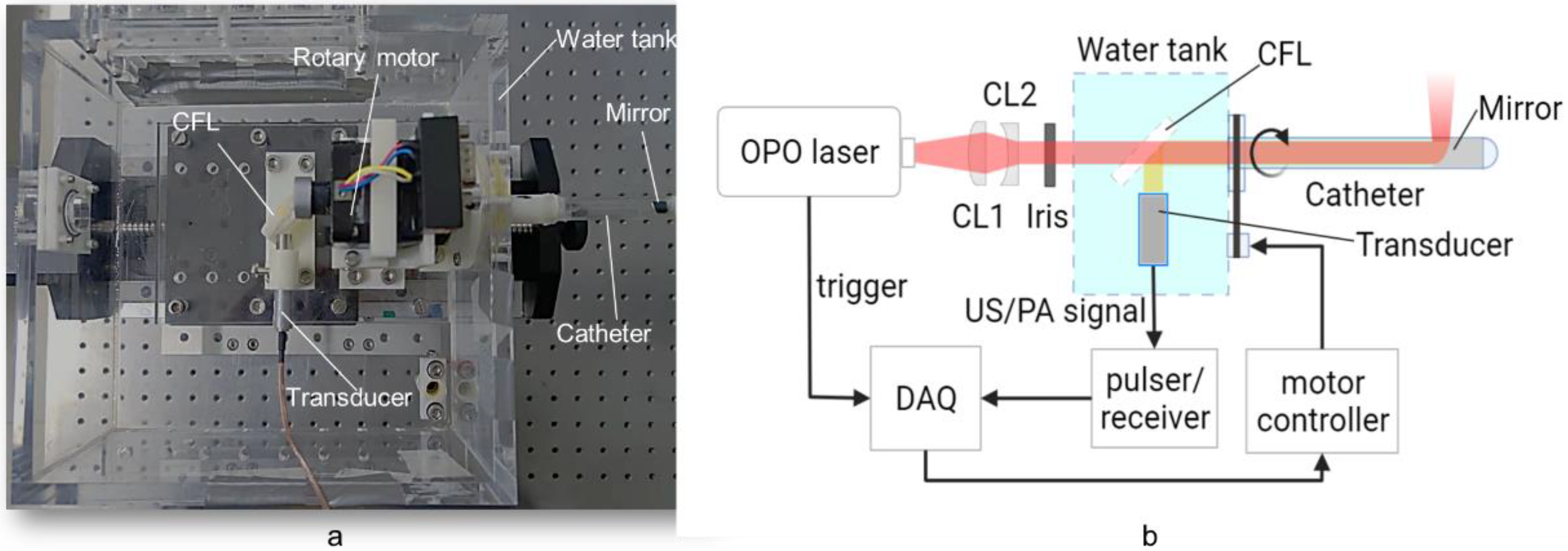 Biosensors 12 00463 g002 550