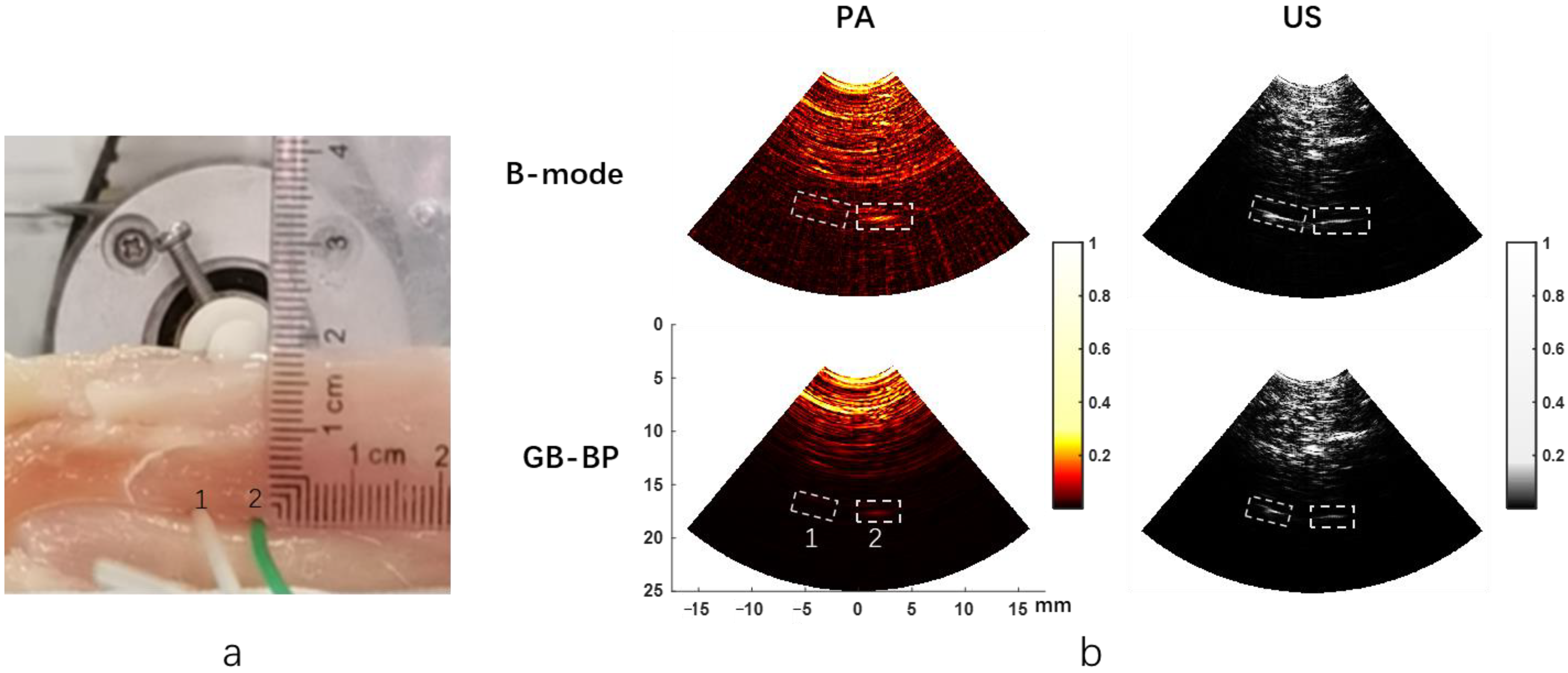 Biosensors 12 00463 g006 550