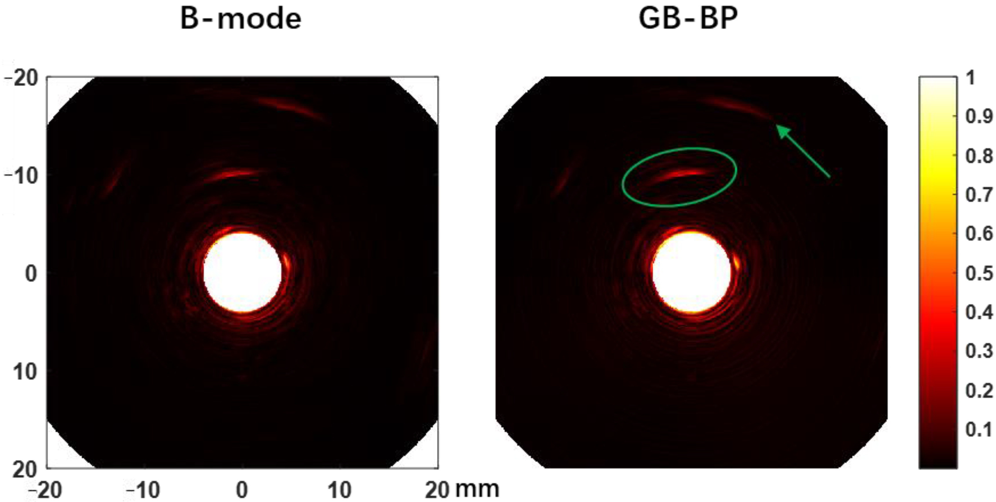 Biosensors 12 00463 g008 550