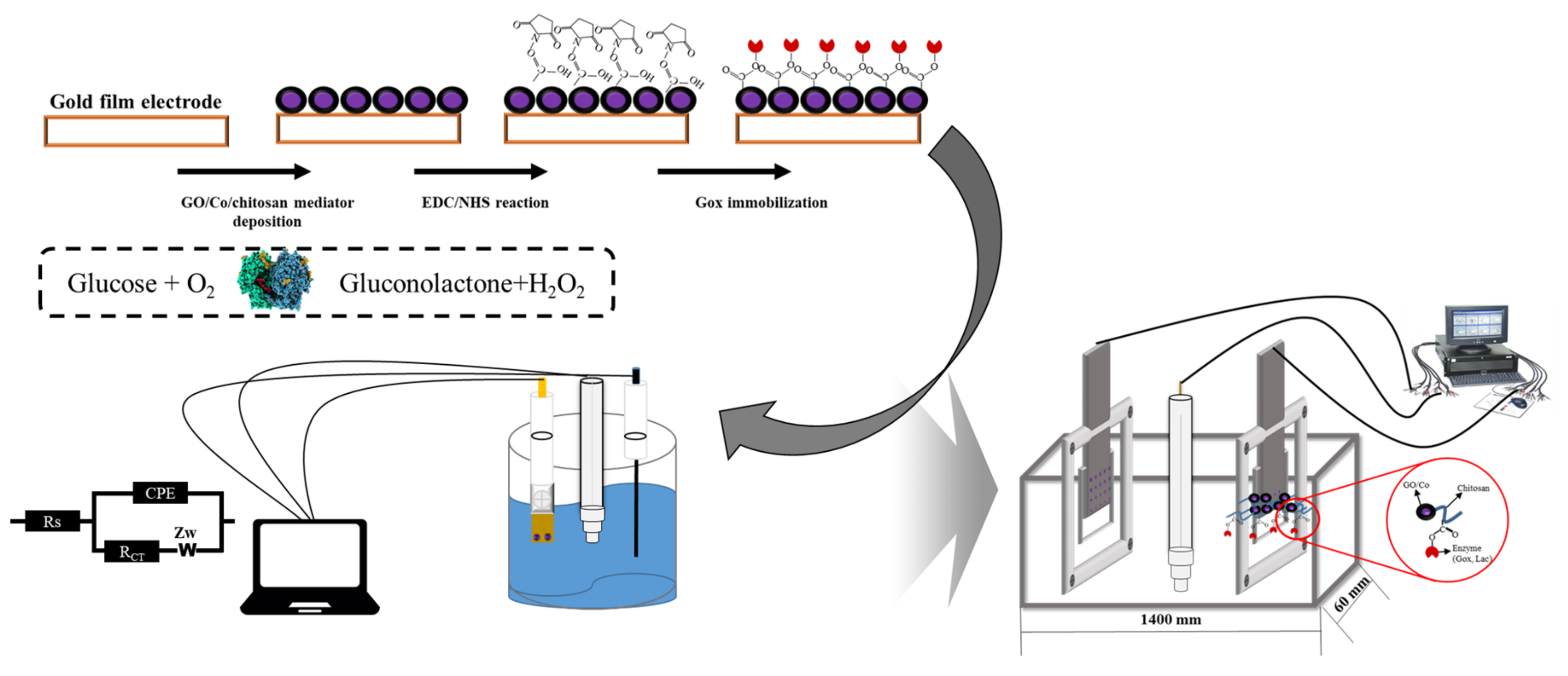 Biosensors 12 00464 sch001