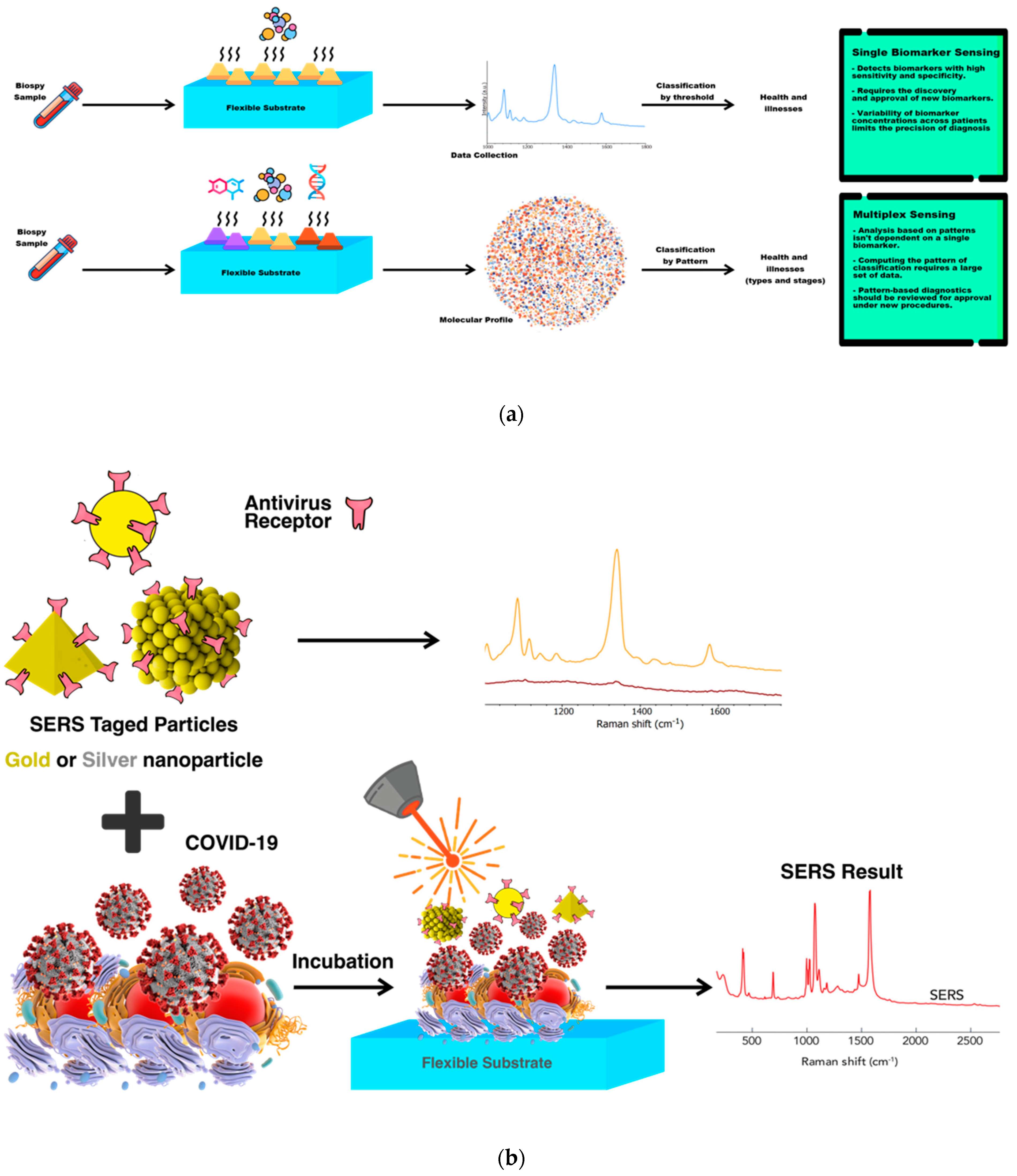 Biosensors 12 00466 g005