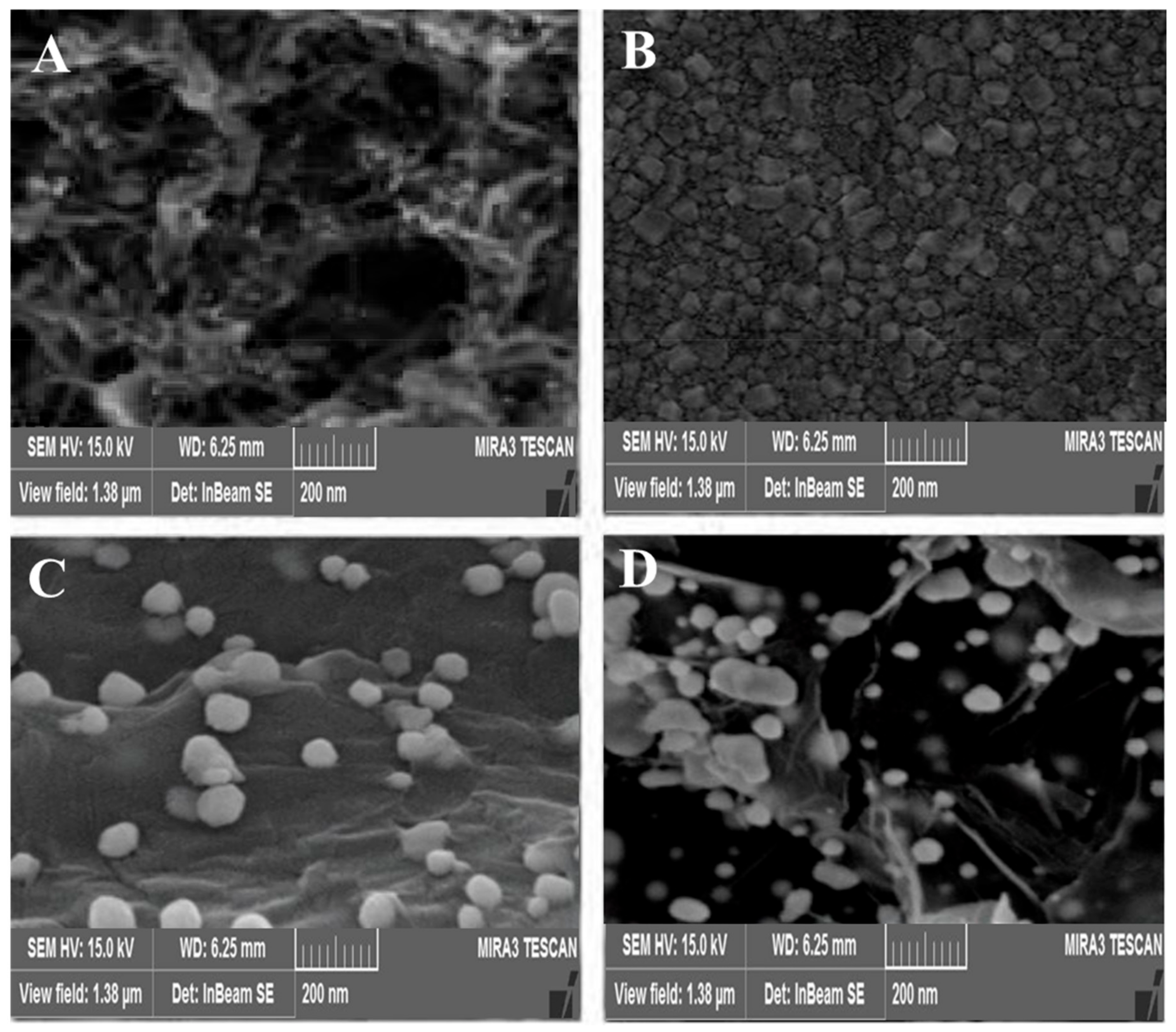 Biosensors 12 00468 g001