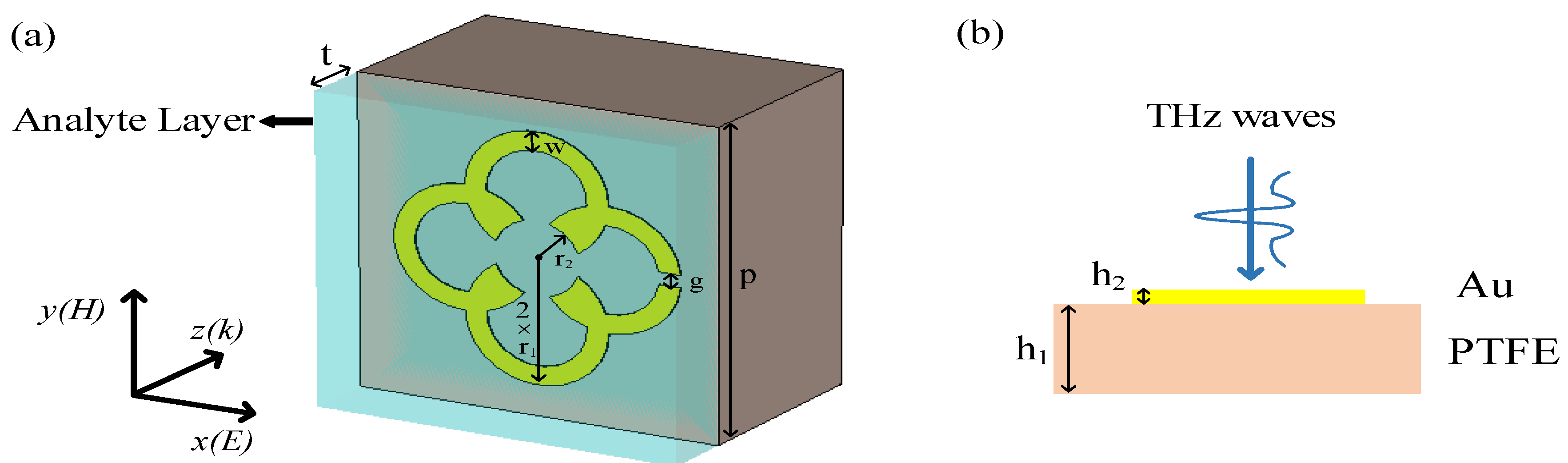 Biosensors 12 00471 g001