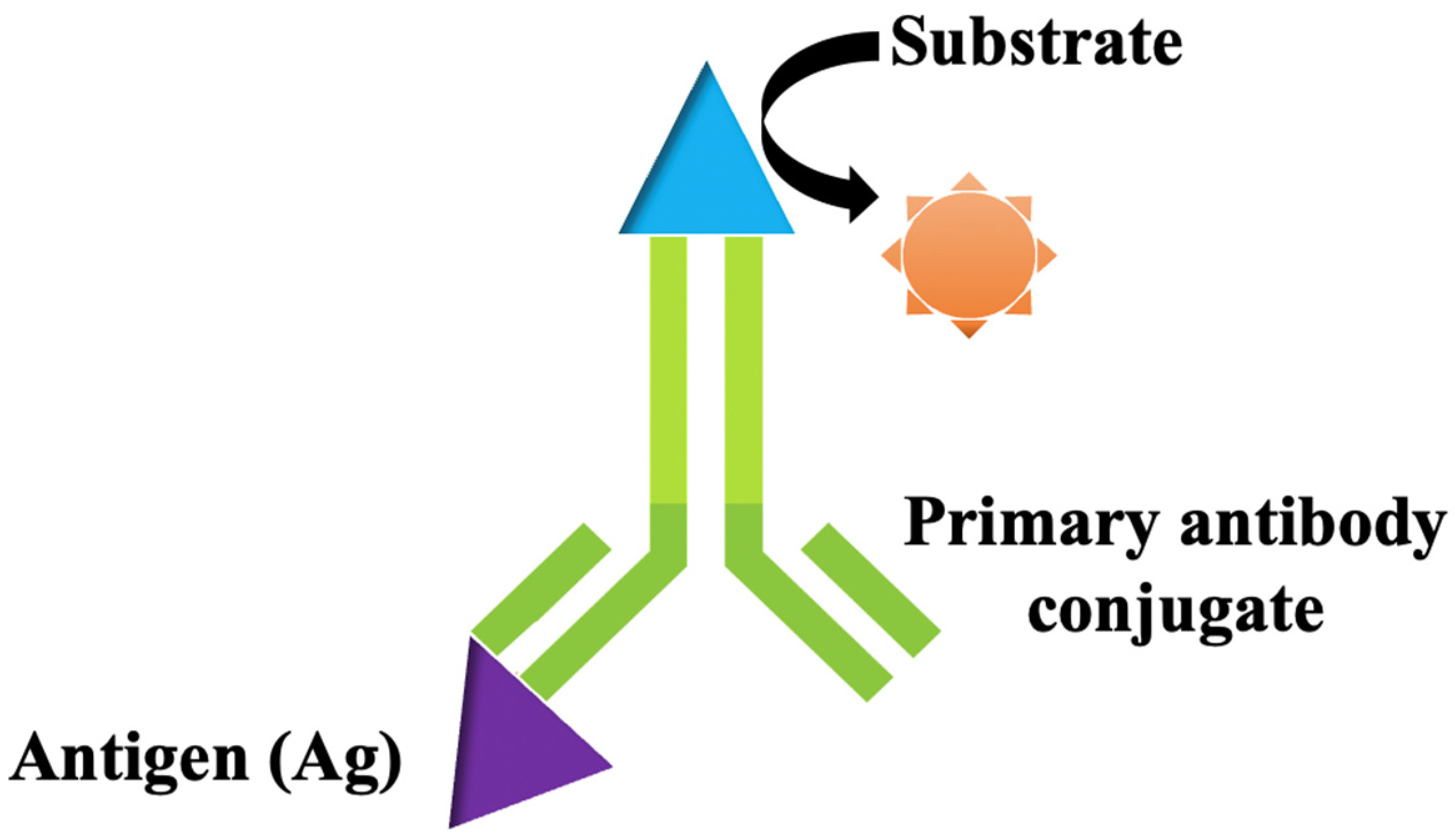 Biosensors 12 00473 g001