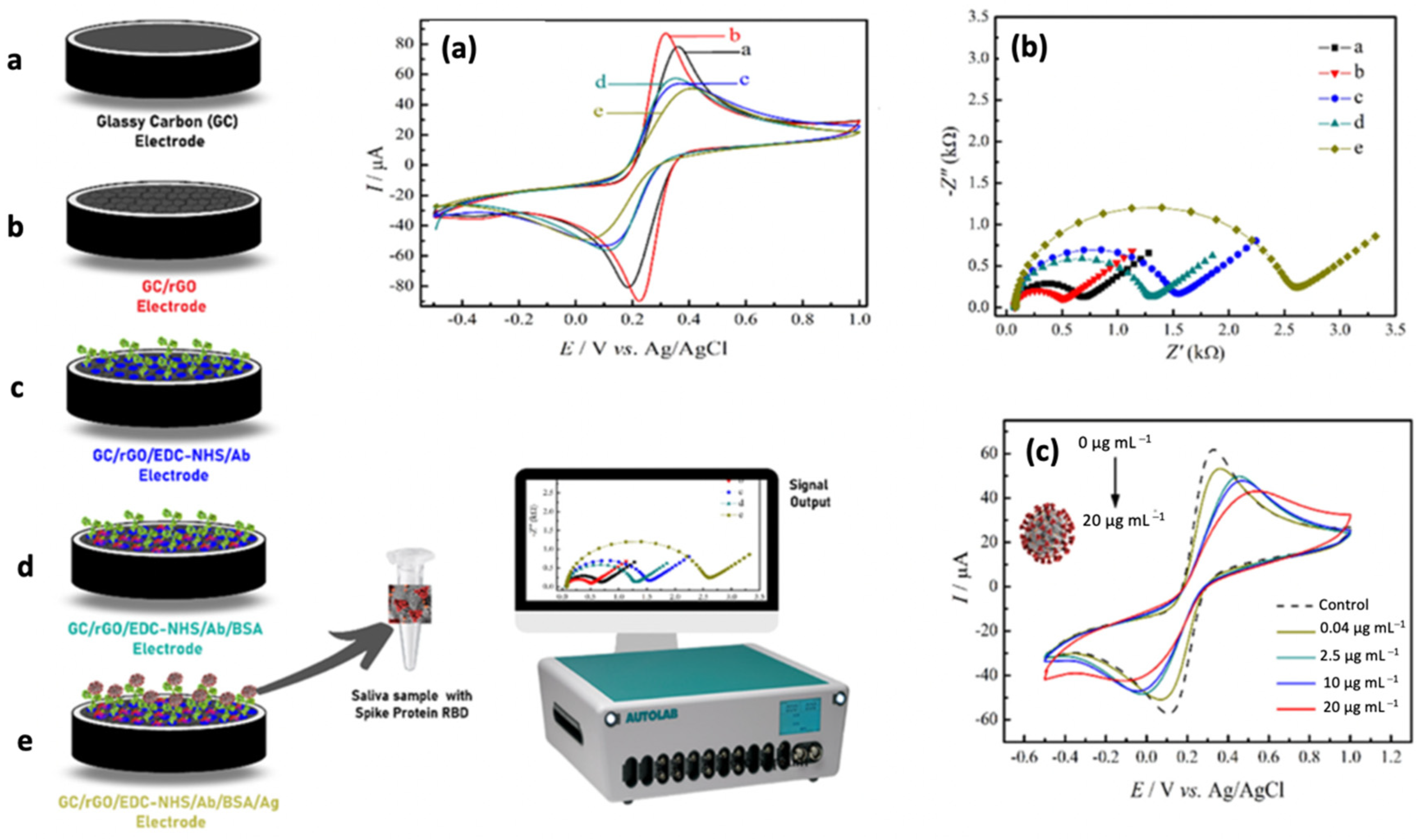 Biosensors 12 00473 g004